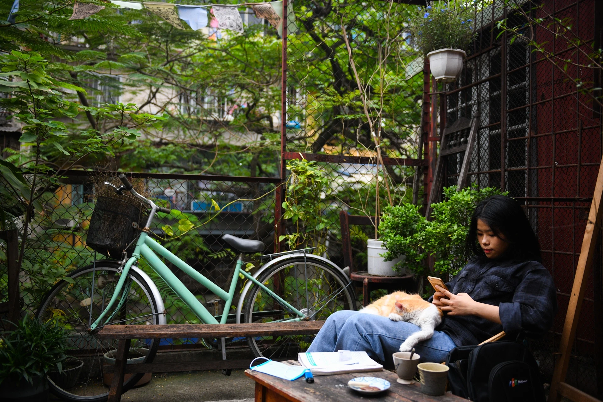 Kinh doanh trong khu tap the,  cuoc song trong cac khu tap the anh 5