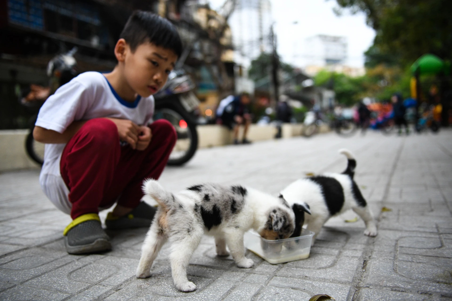 Kinh doanh trong khu tap the,  cuoc song trong cac khu tap the anh 24