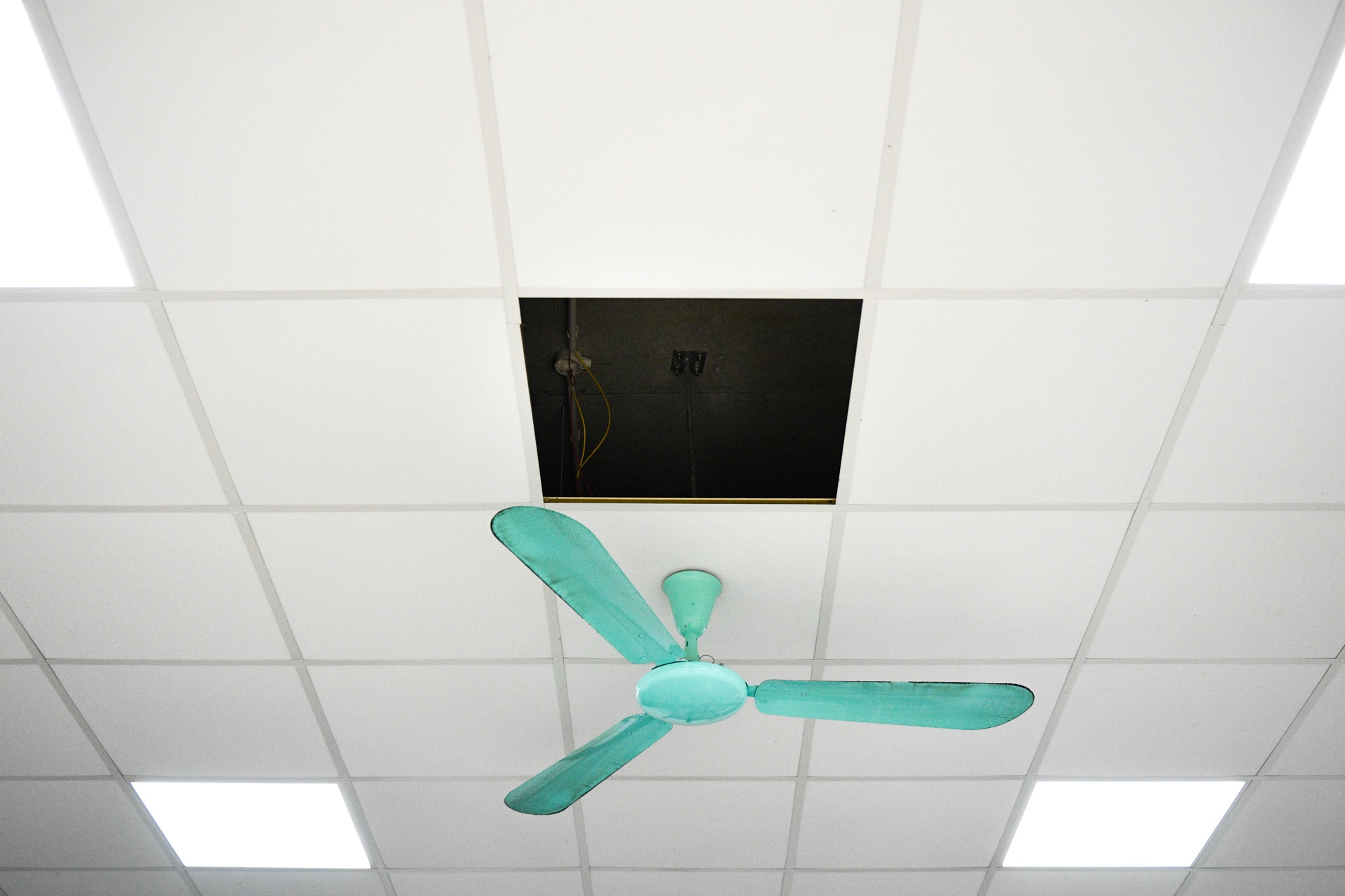 Nguyen Xuan Quy,  benh vien tam than trung uong I anh 6