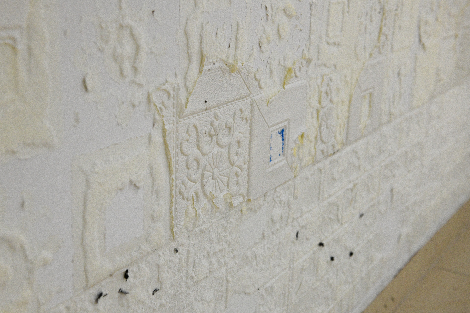 Nguyen Xuan Quy,  benh vien tam than trung uong I anh 3