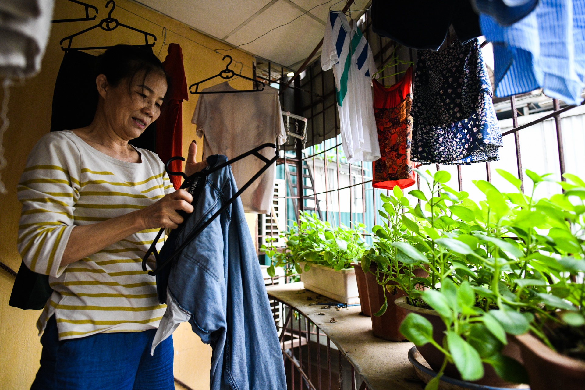 Nguy co chay nha,  loi thoat hiem,  nha ong Ha Noi anh 9