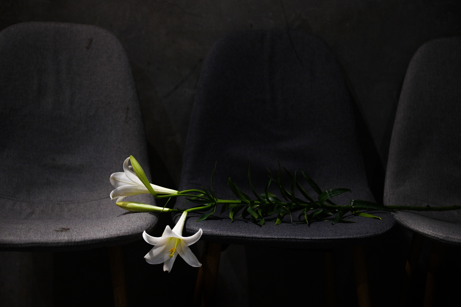 nu nguoi mau khoa than,  dam me hoi hoa anh 6