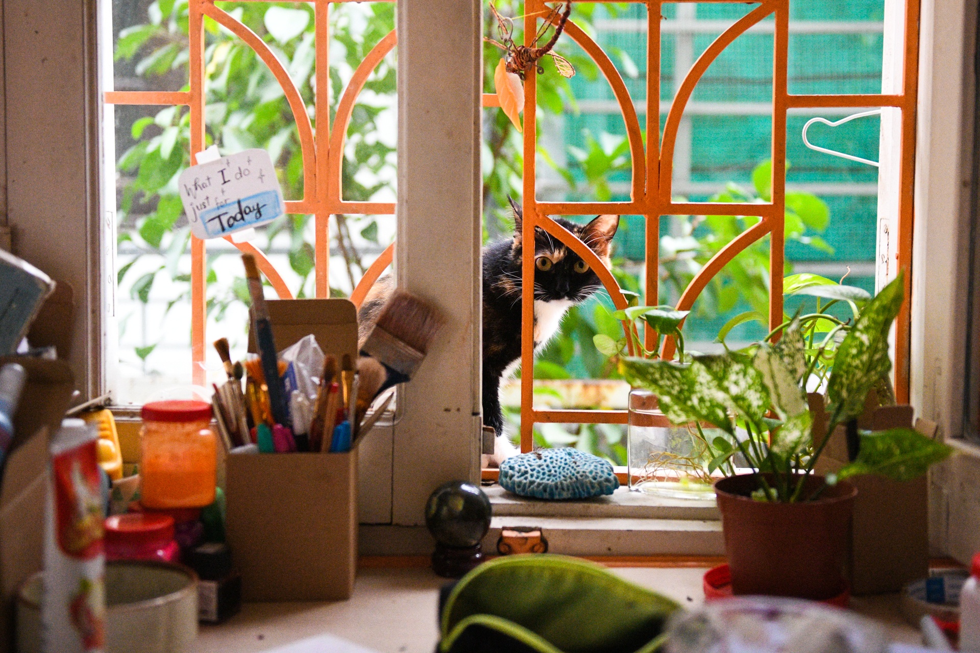 nu nguoi mau khoa than,  dam me hoi hoa anh 24