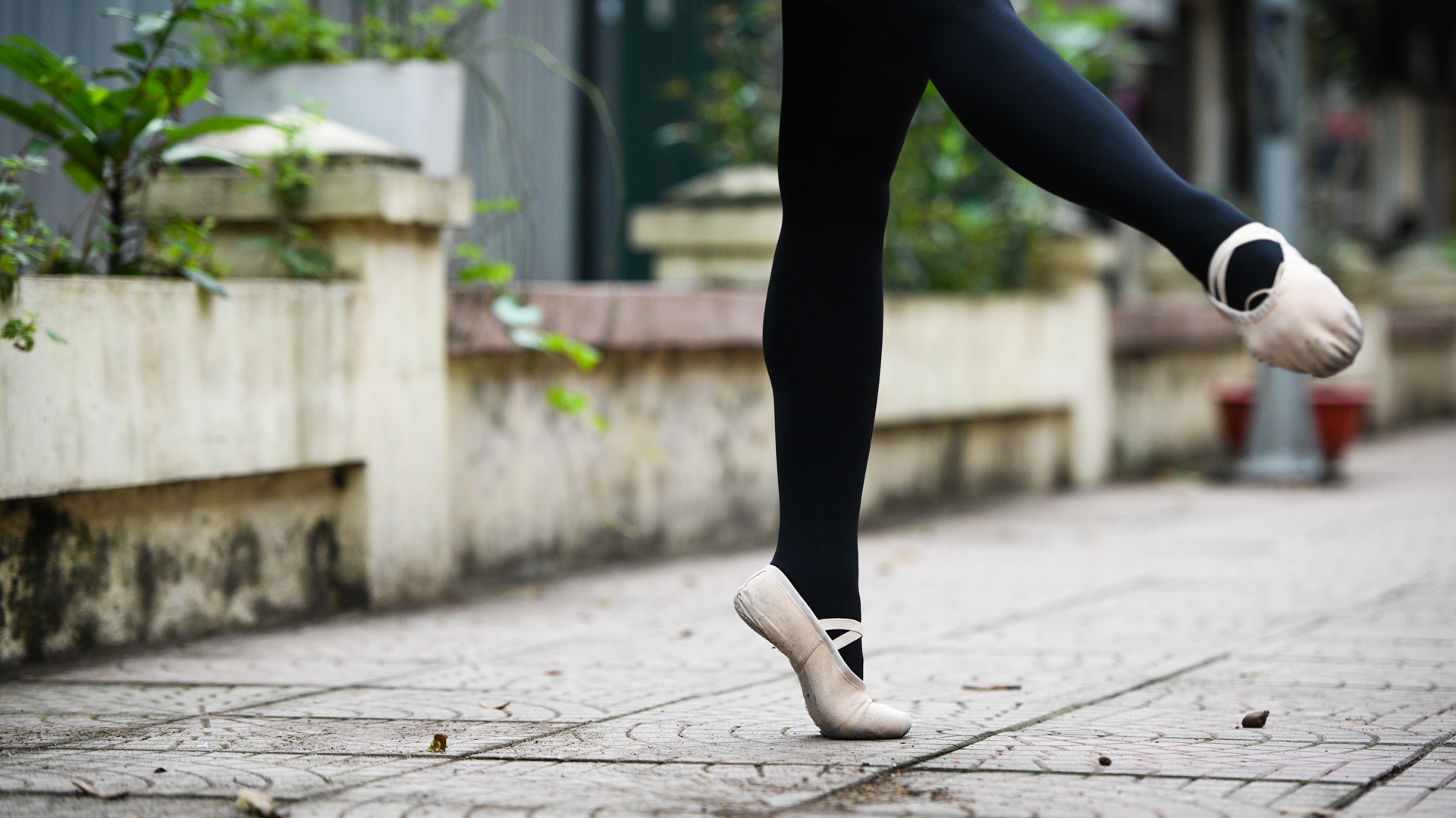 Co giao day mua anh 14