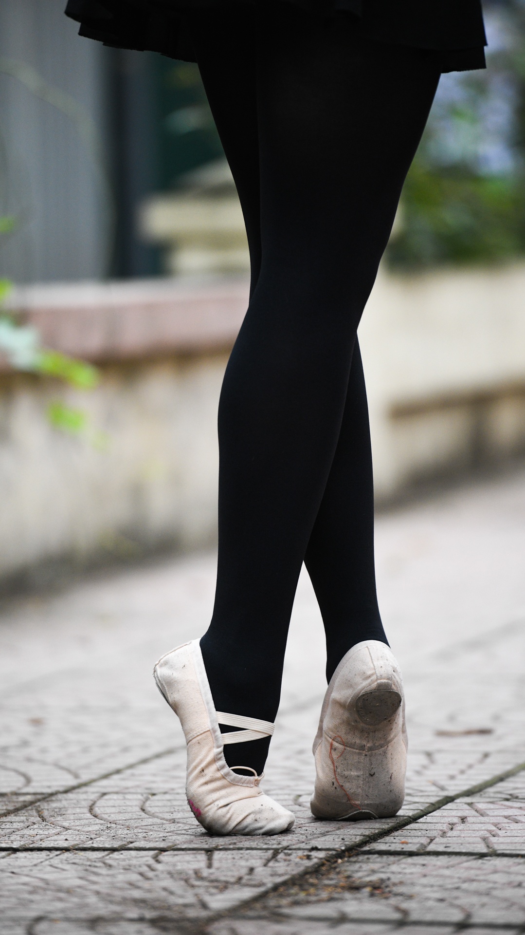 Co giao day mua anh 15