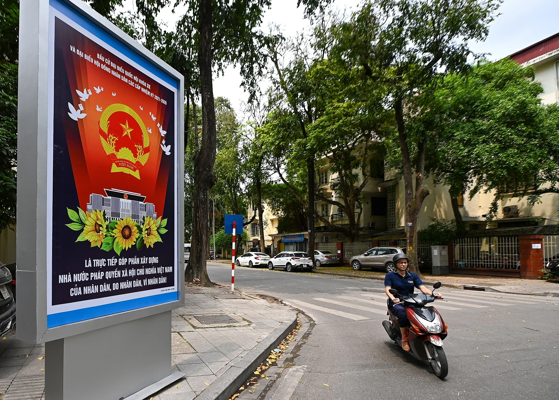 Bau cu dai bieu Quoc hoi anh 6