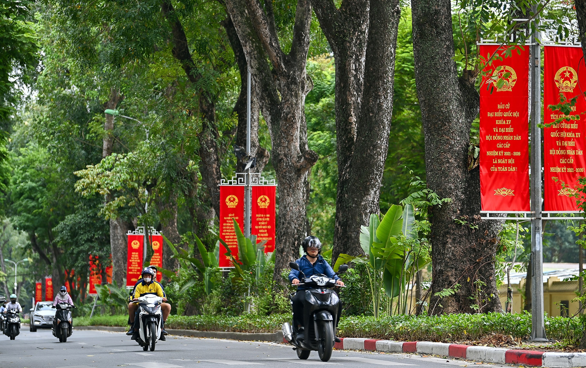 Bau cu dai bieu Quoc hoi anh 3