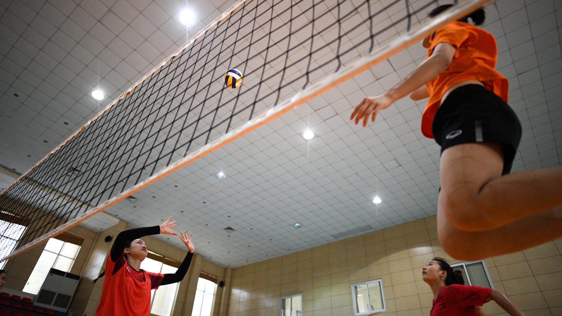 van dong vien,  hoa khoi bong chuyen anh 15