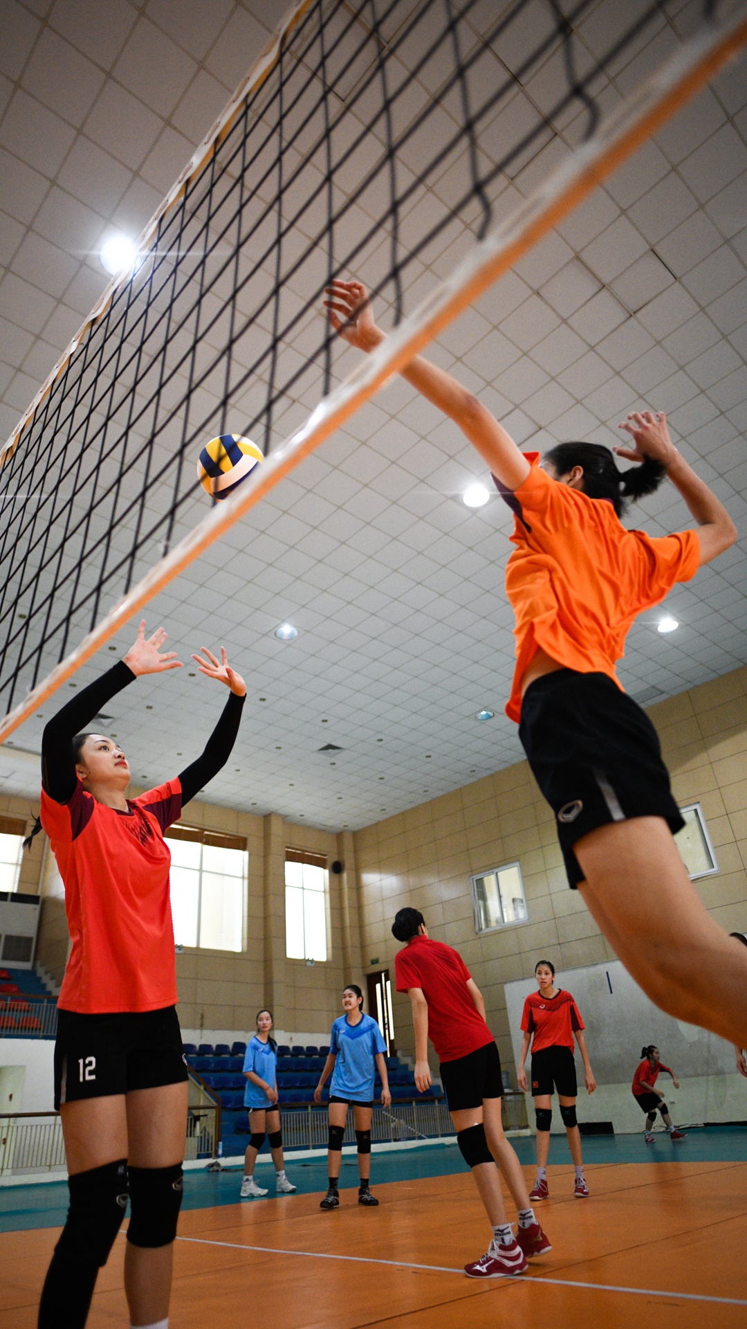 van dong vien,  hoa khoi bong chuyen anh 16