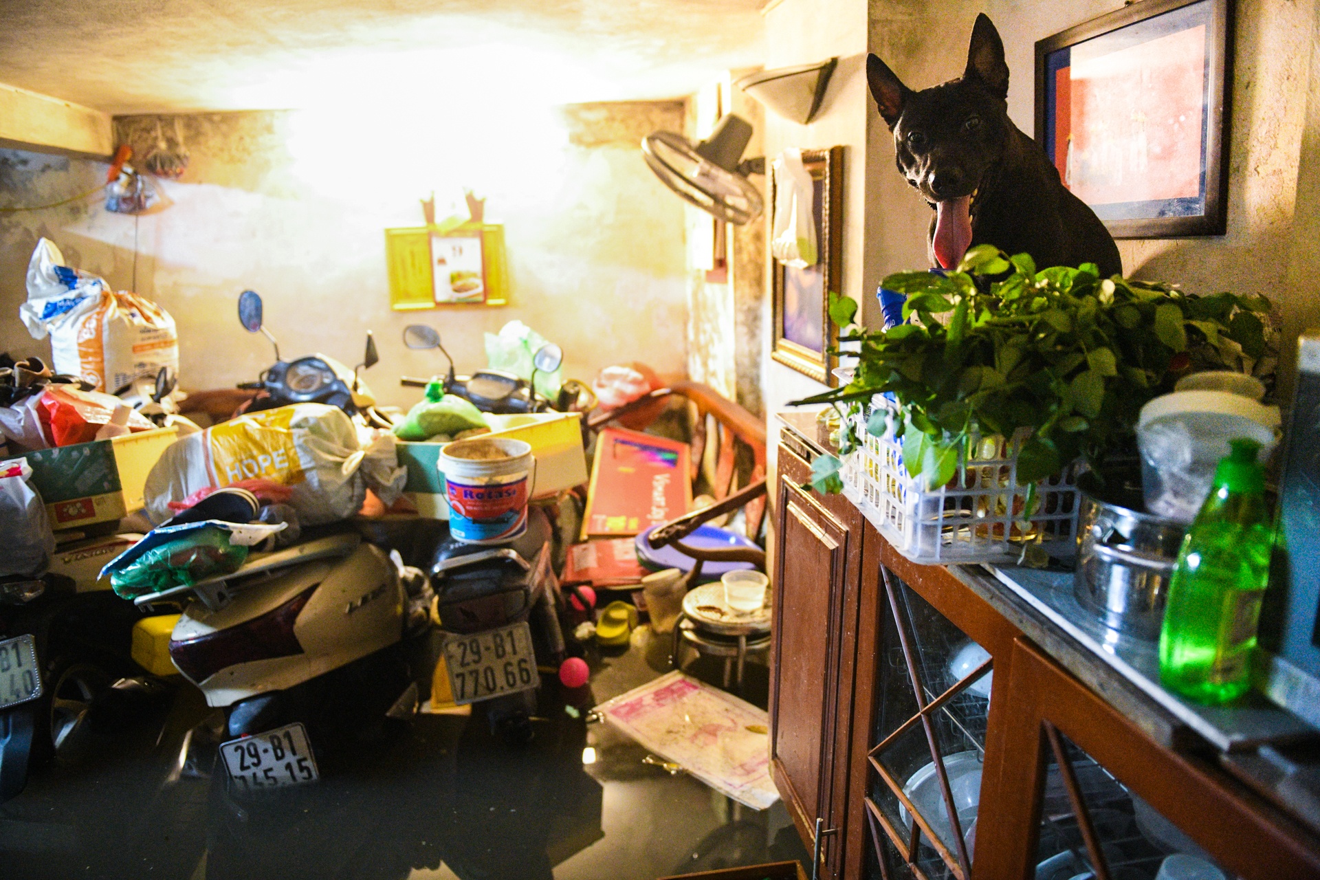 Ha Noi ngap lut,  don nha trong dem anh 4