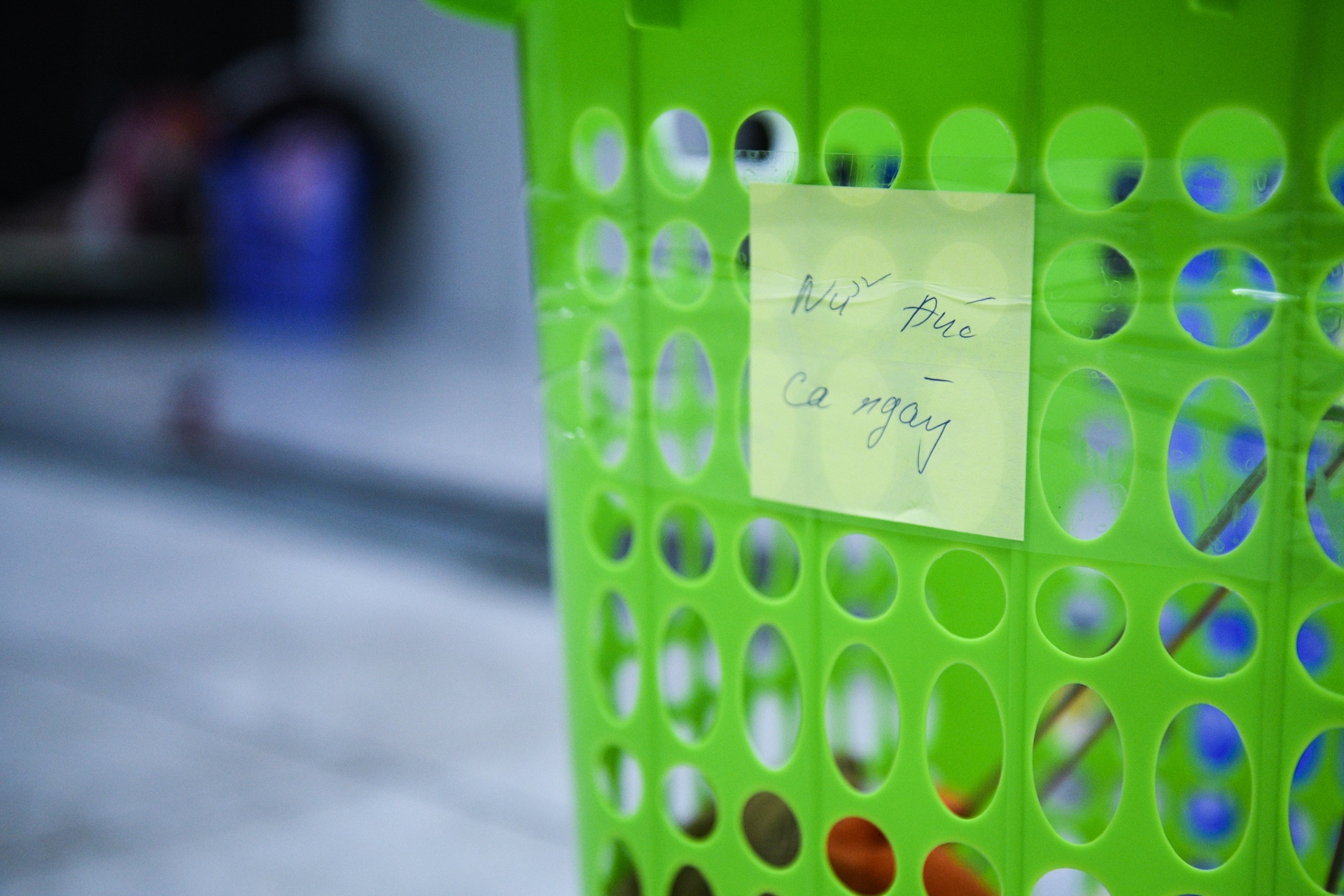 lam viec khep kin,  khu cong nghiep anh 8