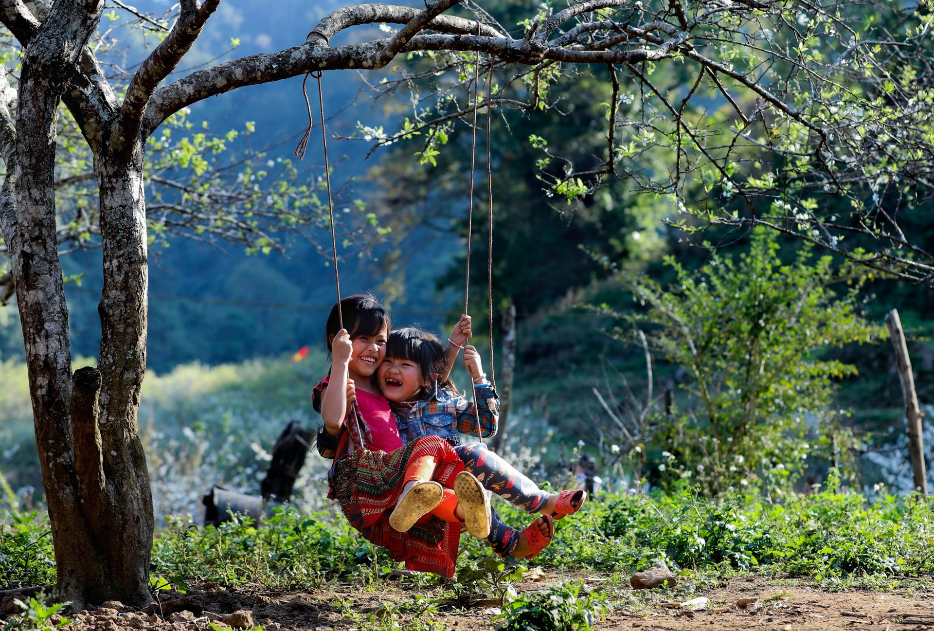 phong vien anh,  anh bao chi,  tac nghiep dich covid-19 anh 17