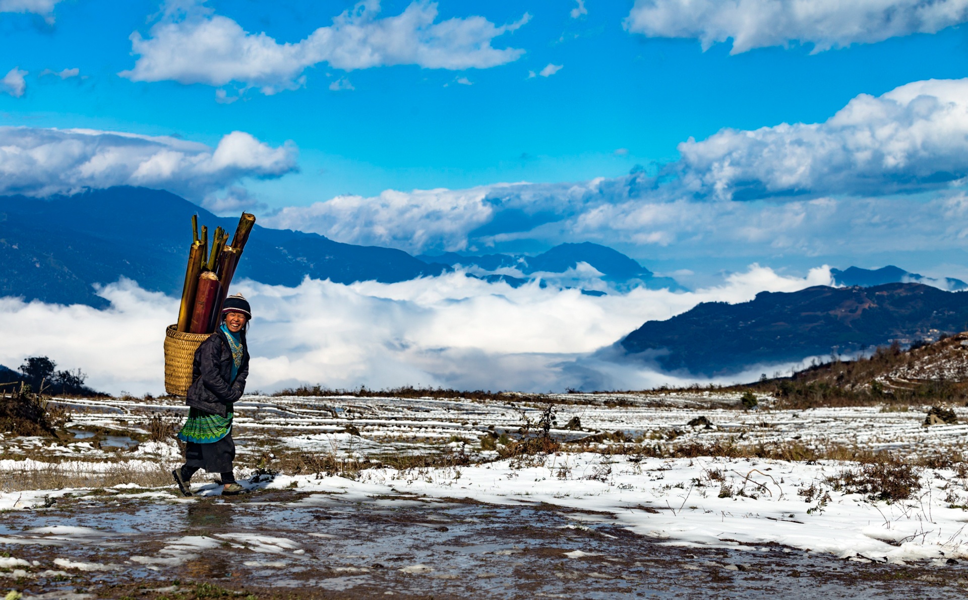 phong vien anh,  anh bao chi,  tac nghiep dich covid-19 anh 20