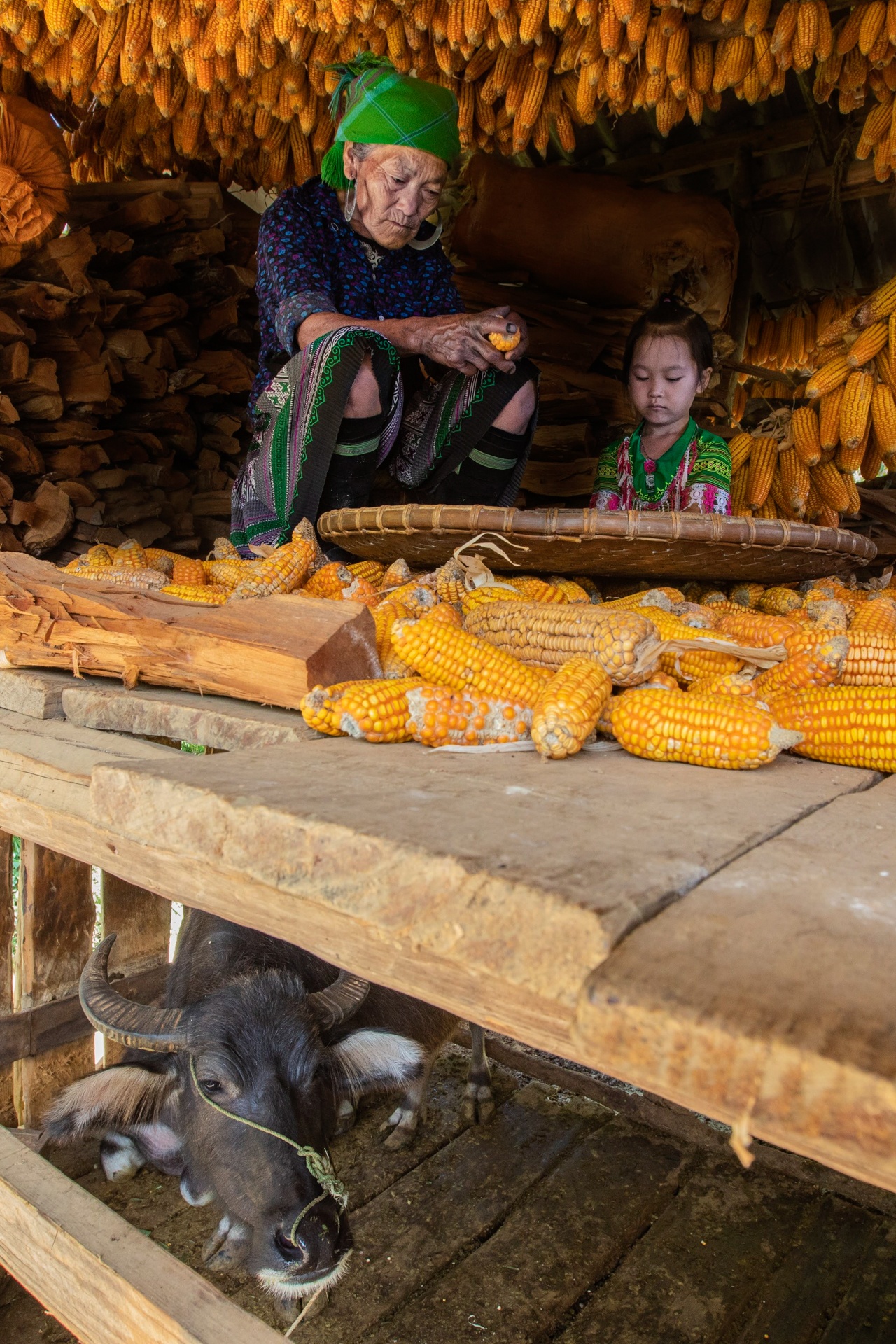 phong vien anh,  anh bao chi,  tac nghiep dich covid-19 anh 23