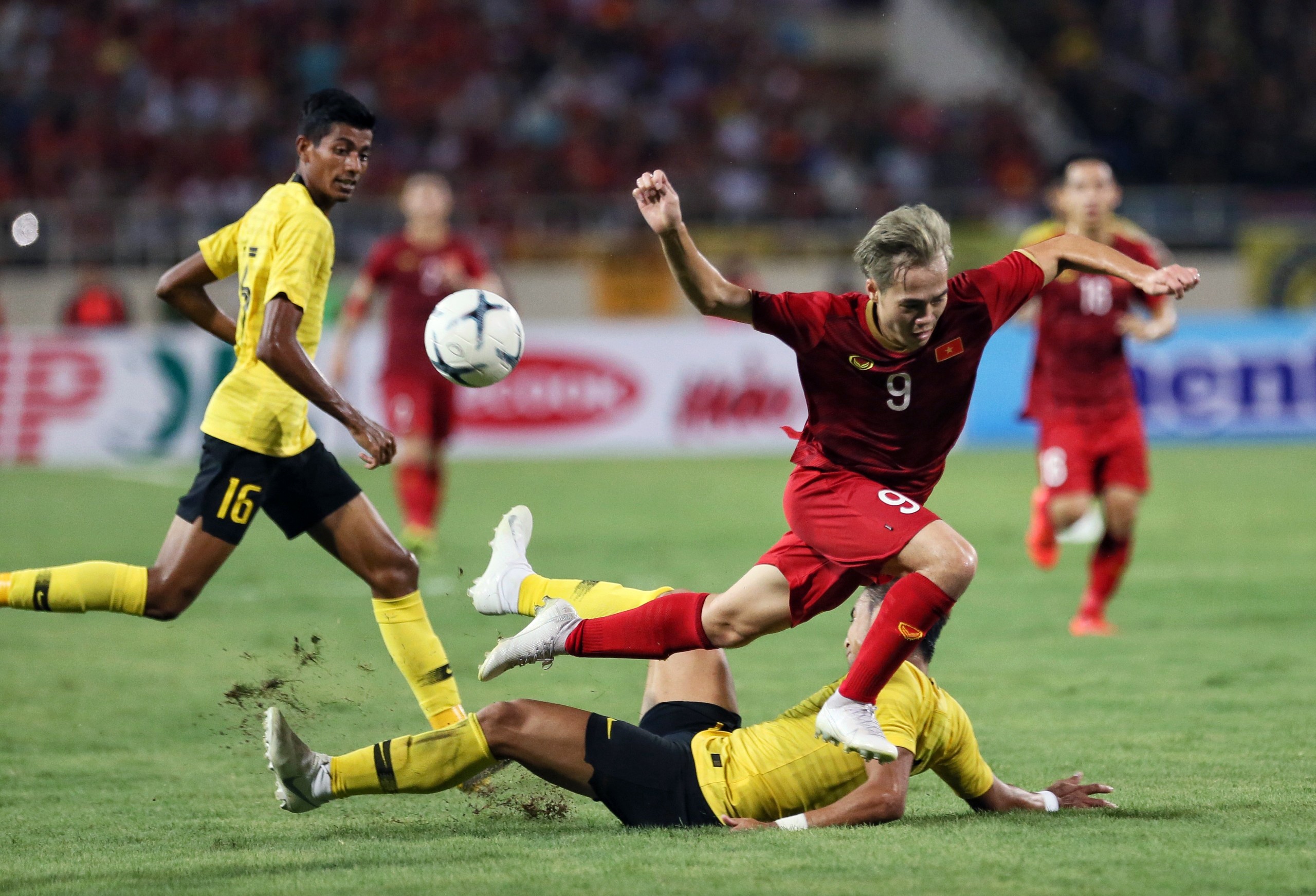 phong vien anh,  anh bao chi,  tac nghiep dich covid-19 anh 21