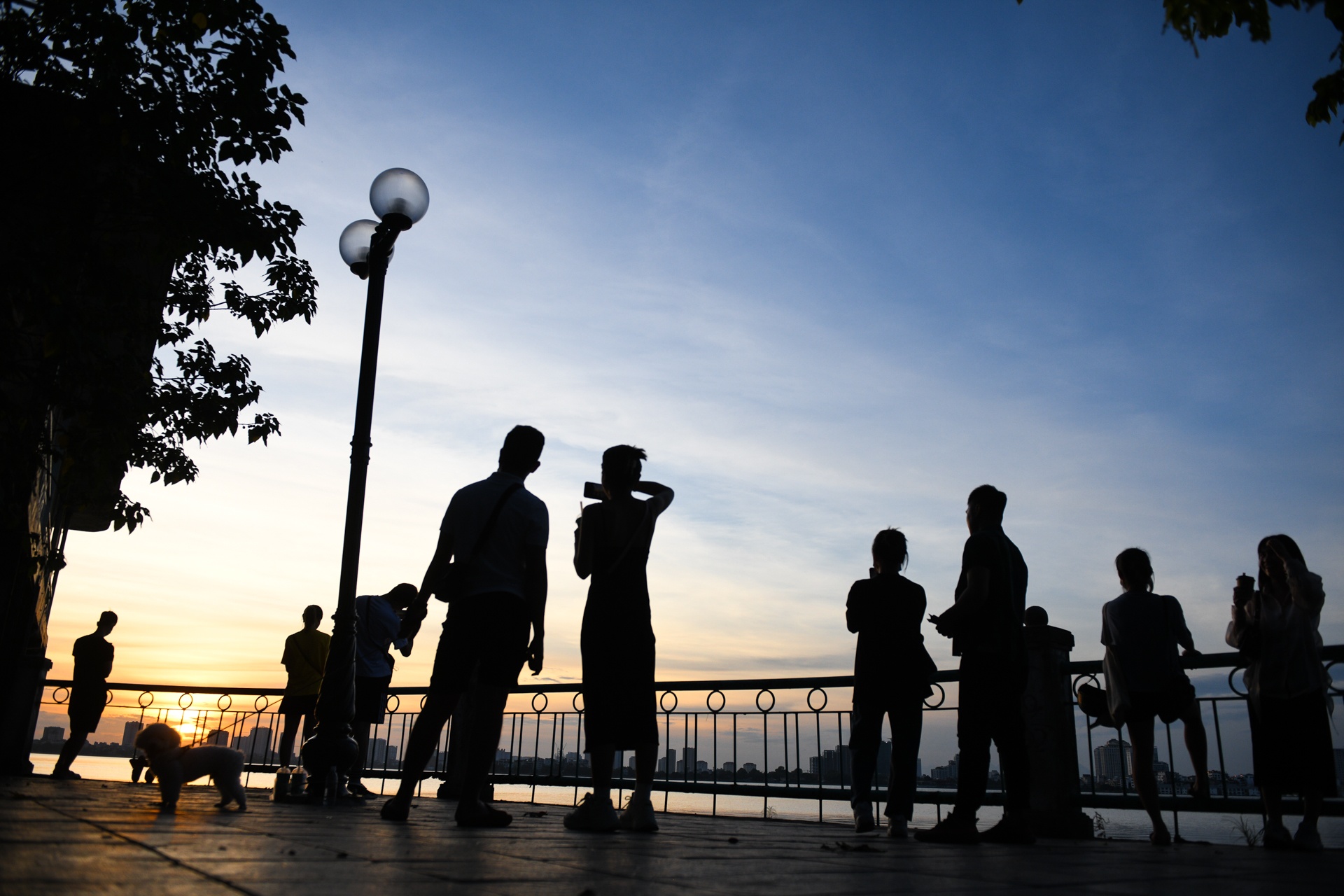 Ho Tay dong nghet nguoi,  dap xe ho tay anh 7