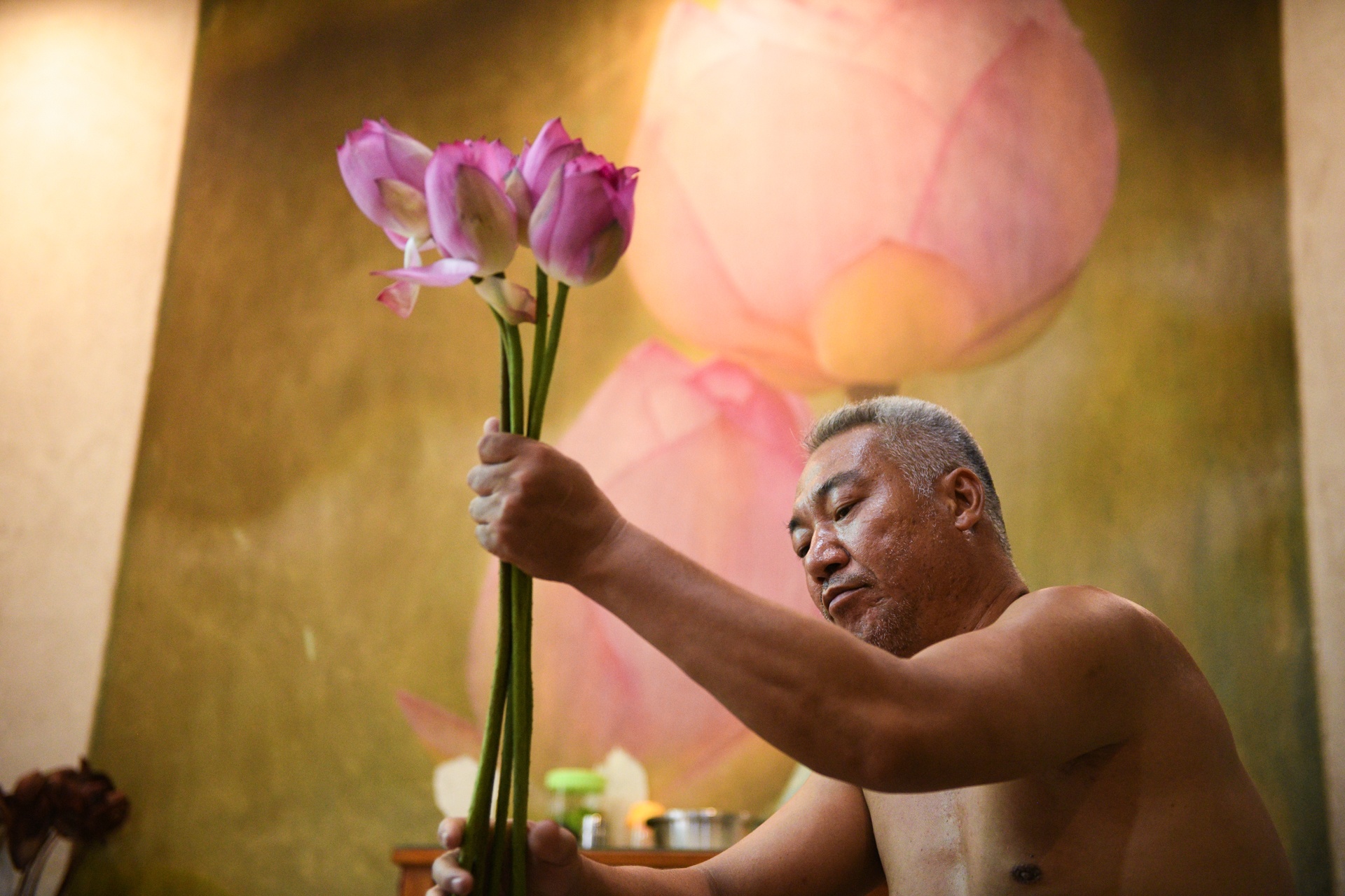 Chu dam sen ho tay,  tra sen ho tay,  cam hoa sen anh 8