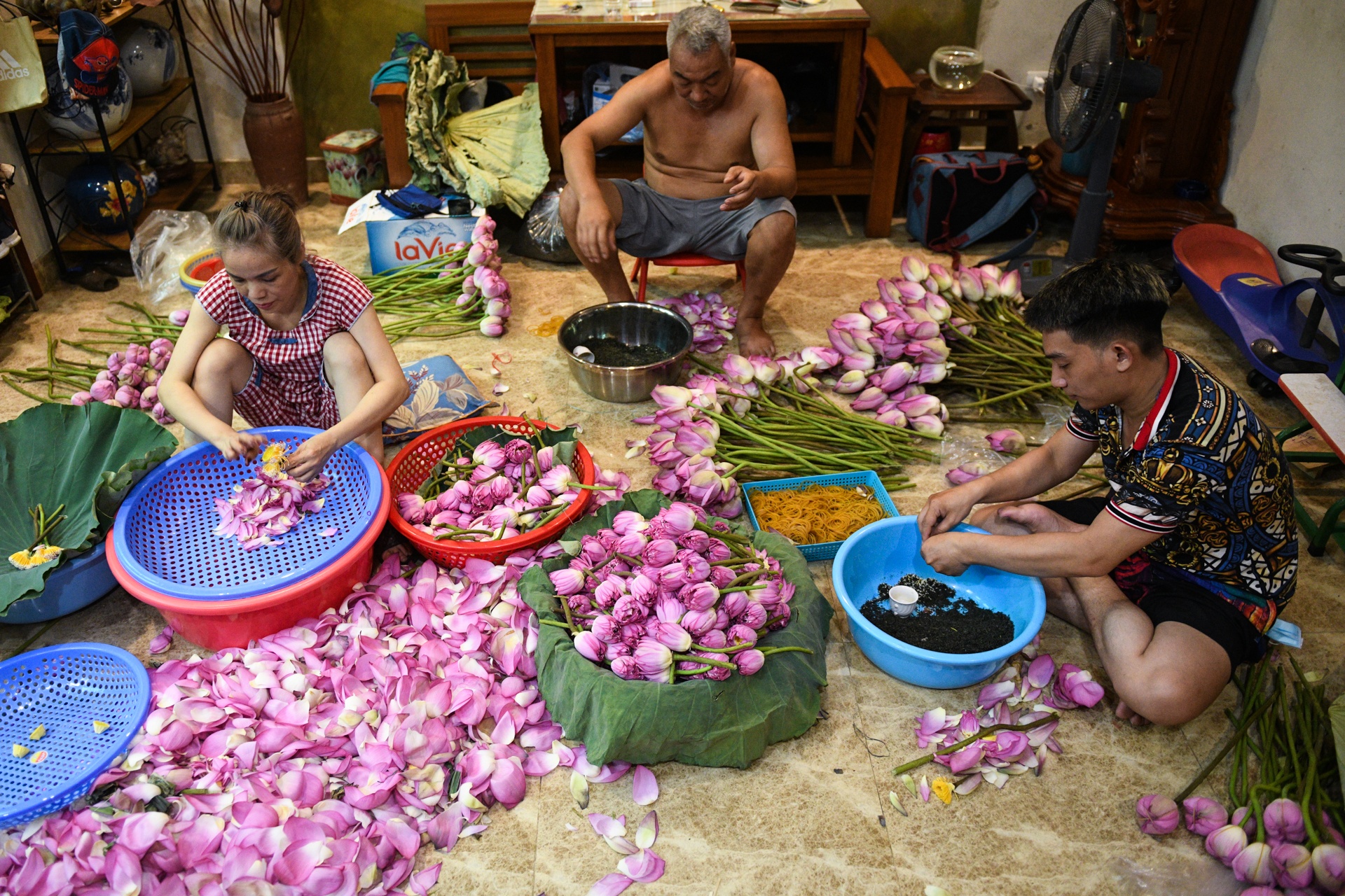 Chu dam sen ho tay,  tra sen ho tay,  cam hoa sen anh 10