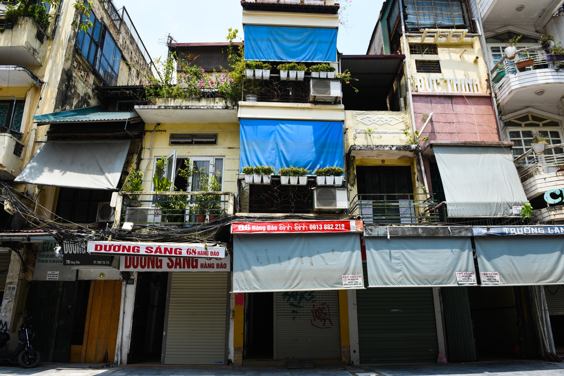 dai dich Covid-19, anh 1