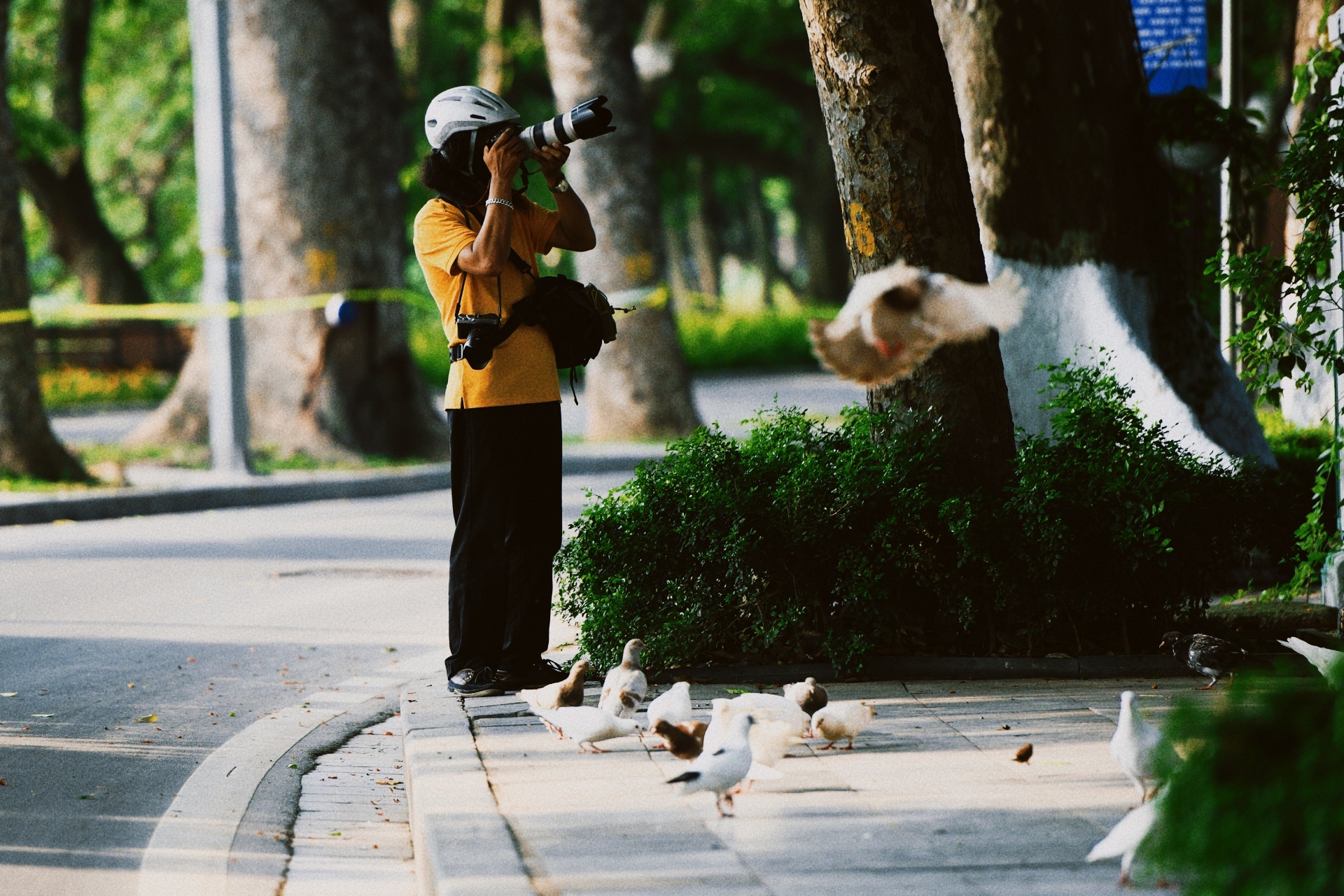 Ha Noi vang lang,  chi thi 16,  gian cach xa hoi anh 14