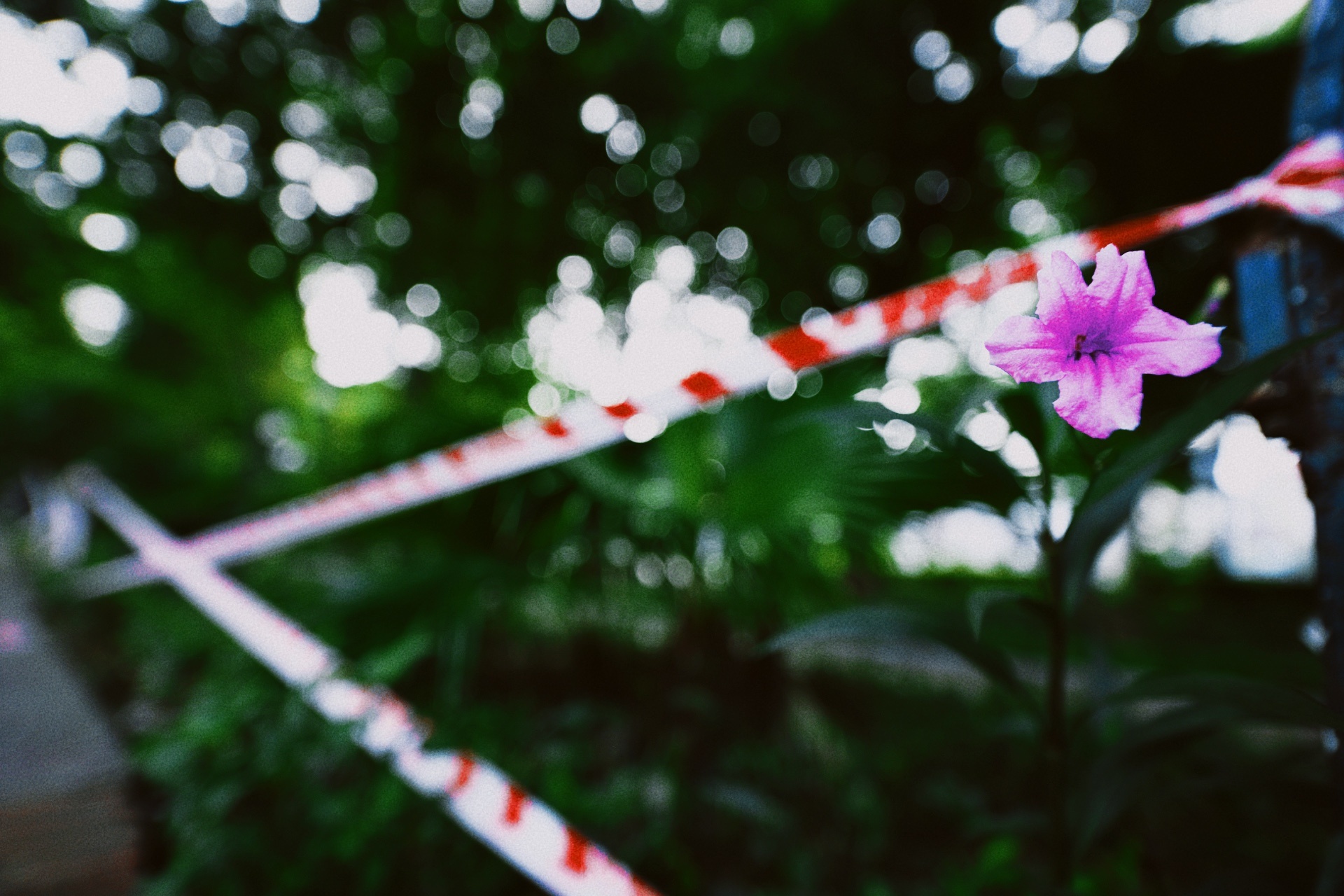 Ha Noi vang lang,  chi thi 16,  gian cach xa hoi anh 18