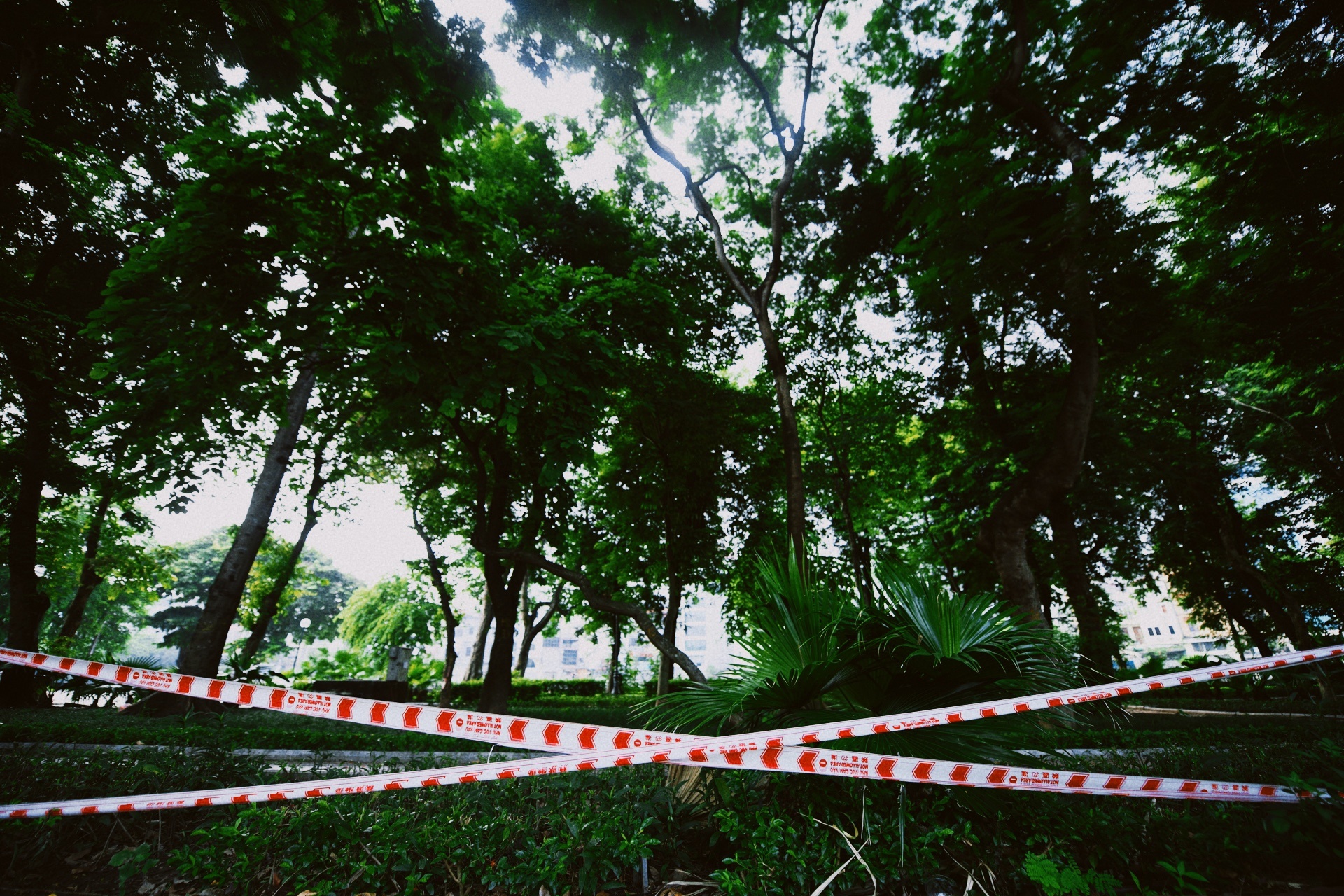 Ha Noi vang lang,  chi thi 16,  gian cach xa hoi anh 19