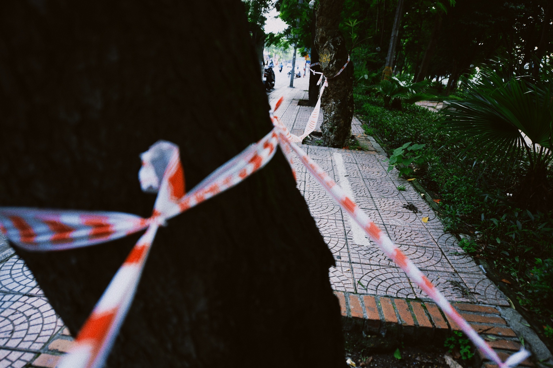 Ha Noi vang lang,  chi thi 16,  gian cach xa hoi anh 20