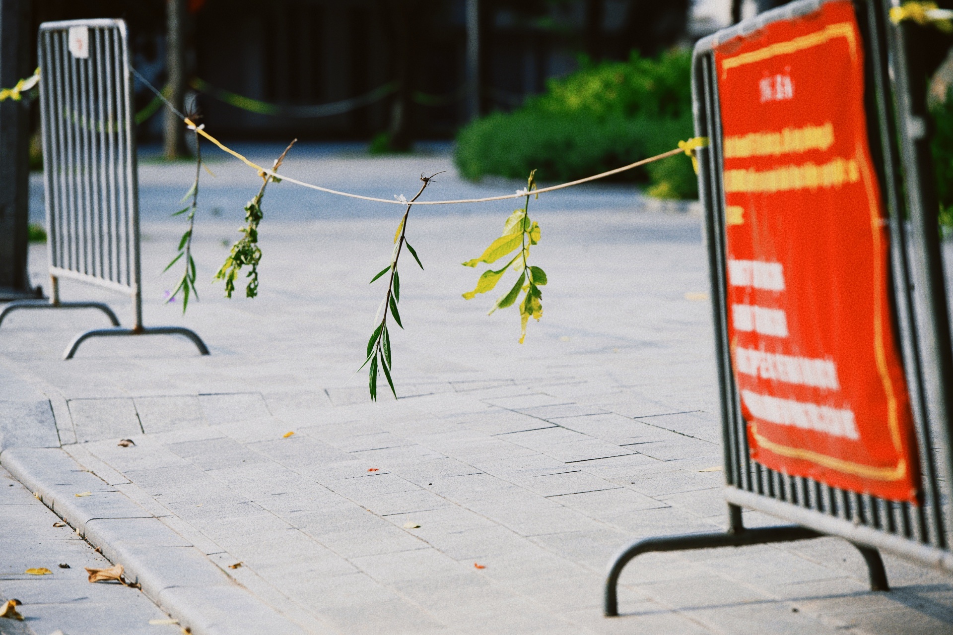 Ha Noi vang lang,  chi thi 16,  gian cach xa hoi anh 21