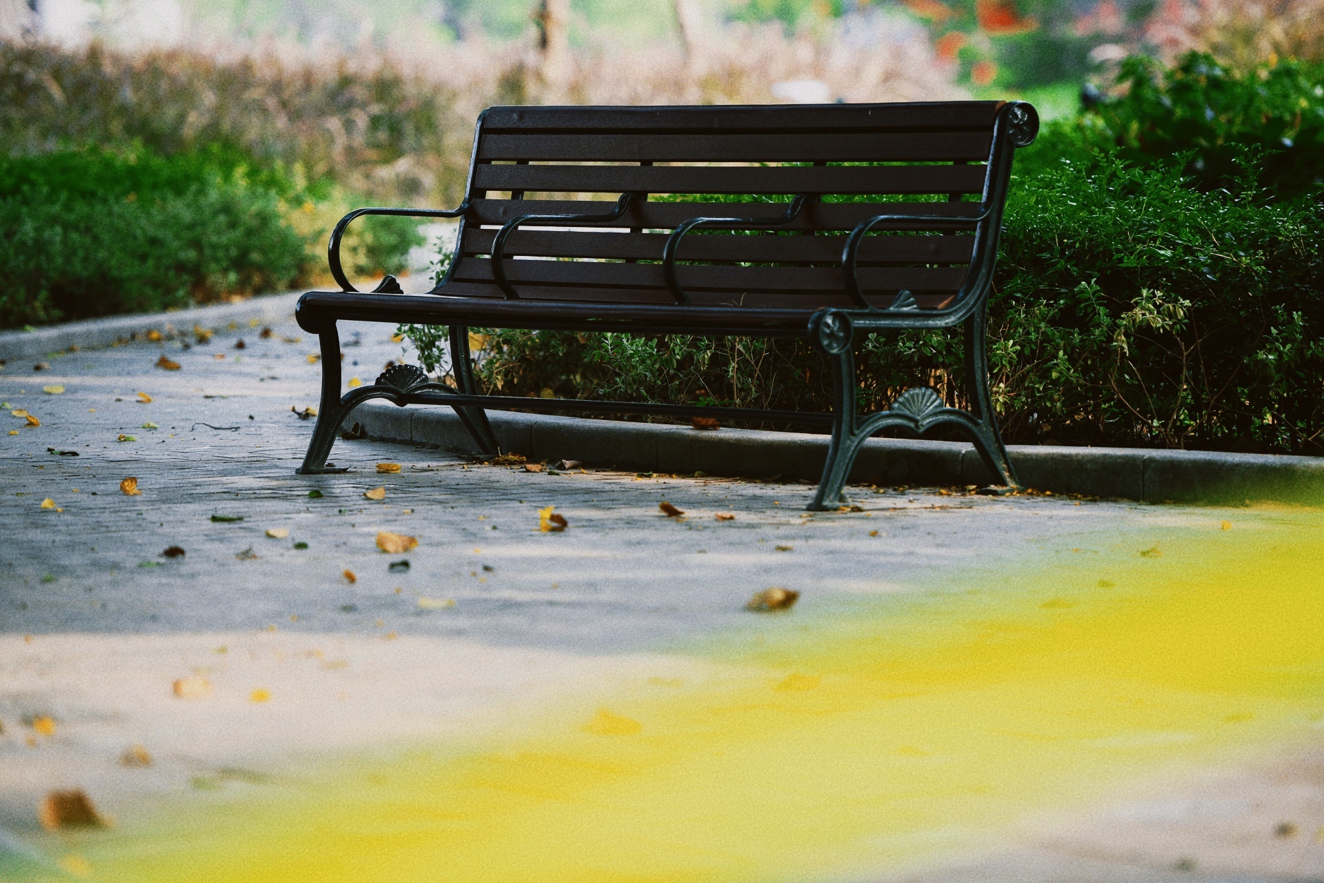 Ha Noi vang lang,  chi thi 16,  gian cach xa hoi anh 23