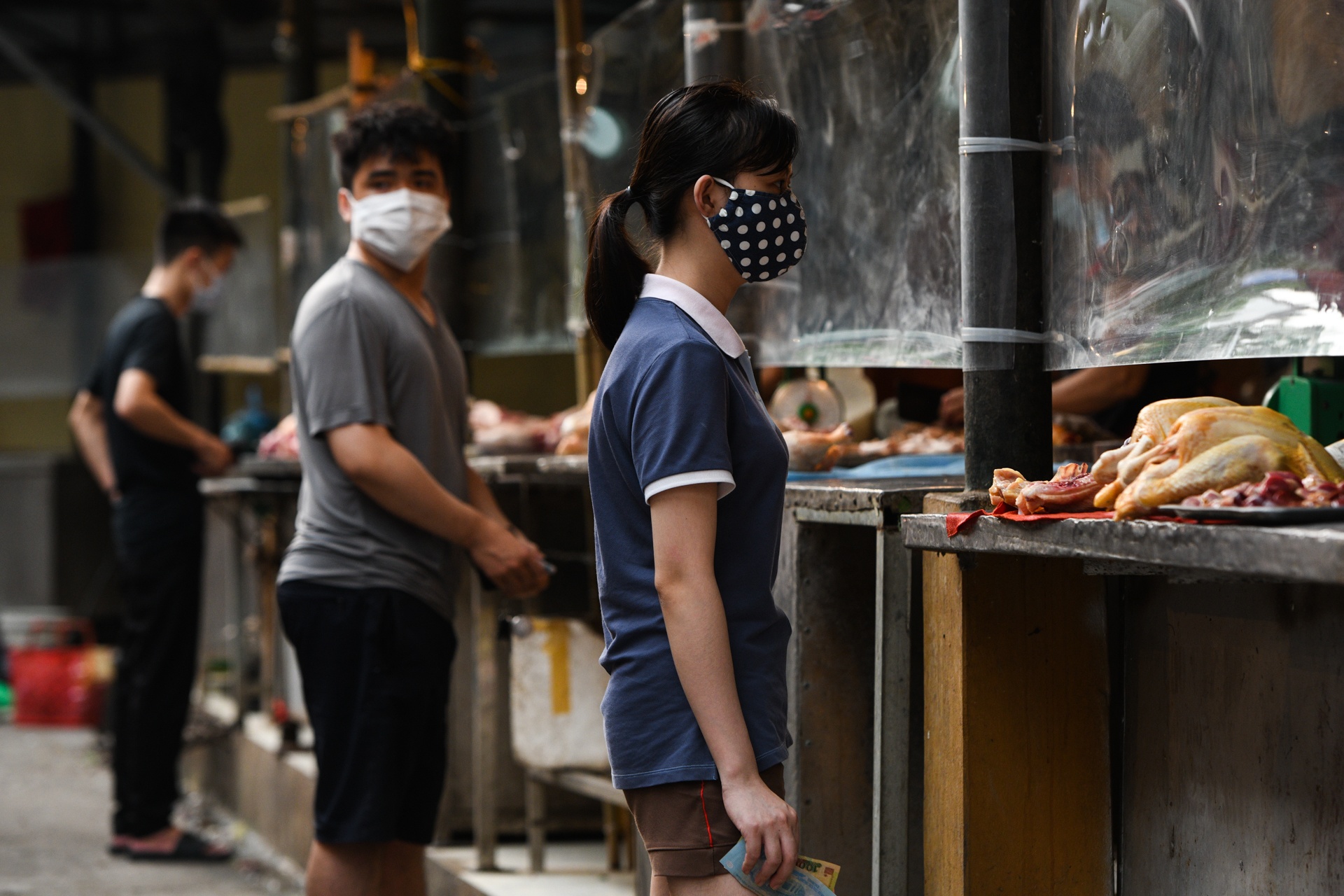 cho dan sinh,  lap dat vach ngan,  nhu yeu pham anh 8