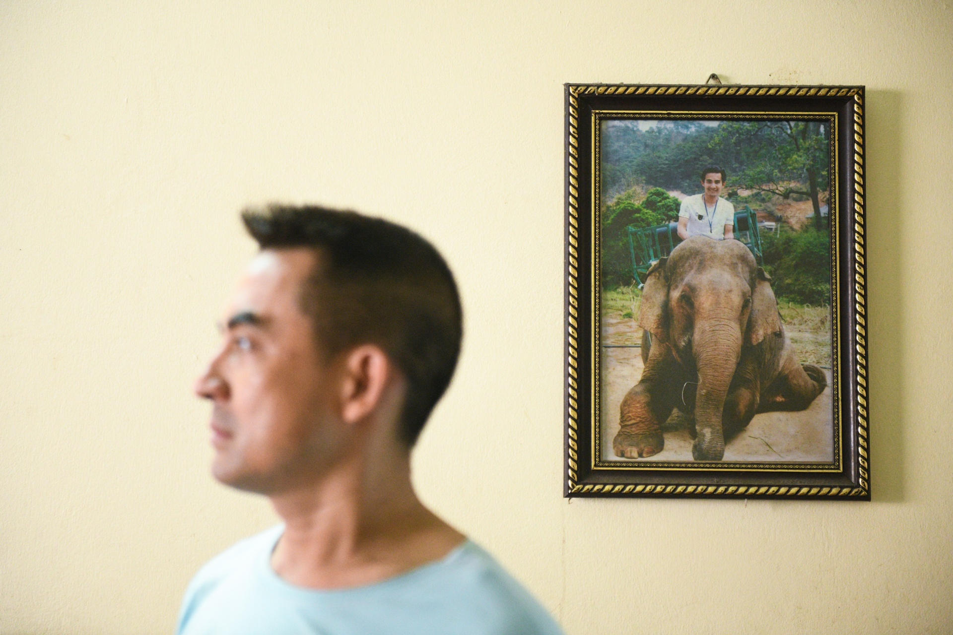 huong dan vien du lich,  anh huong dich covid-19 anh 22