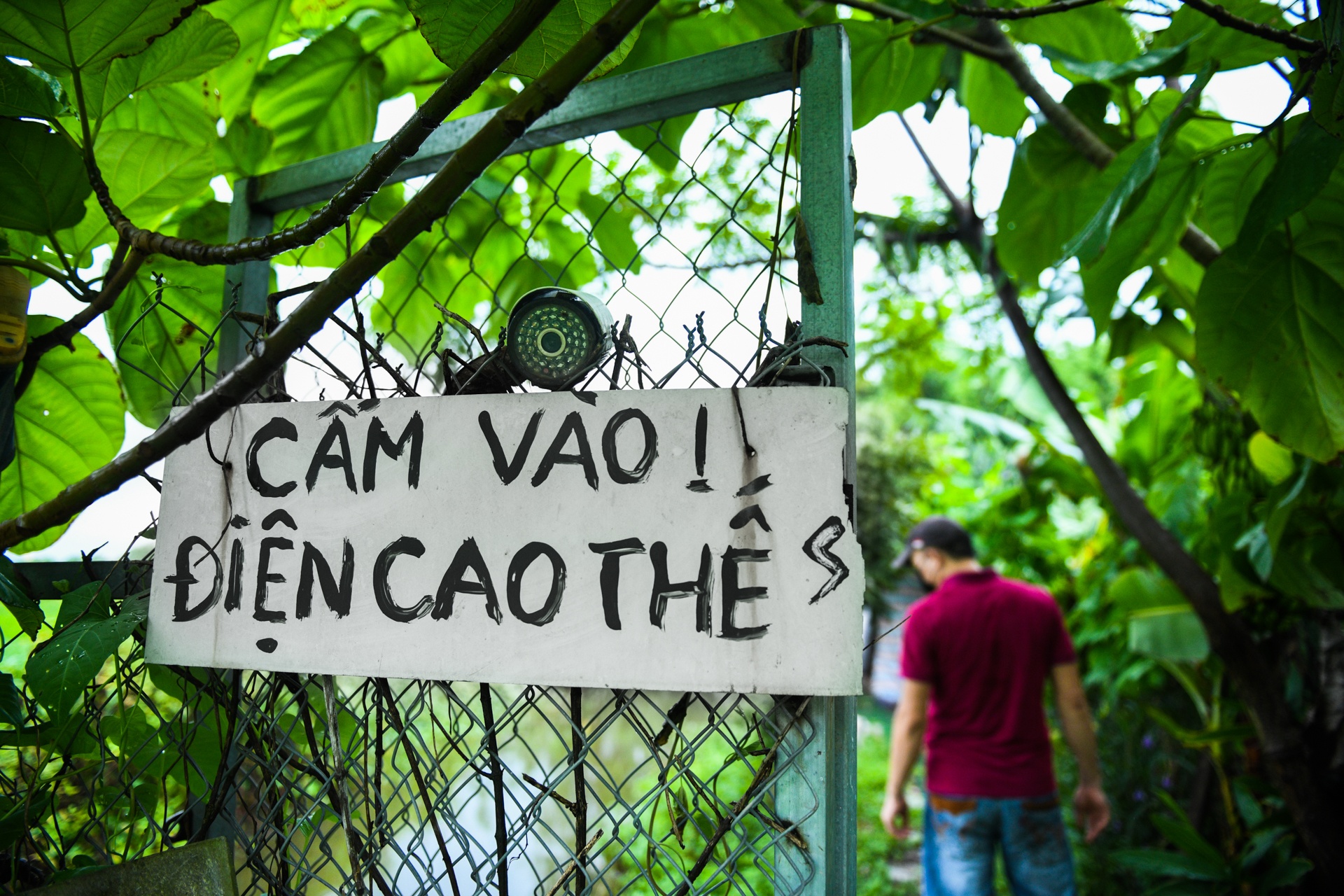 huong dan vien du lich,  anh huong dich covid-19 anh 3