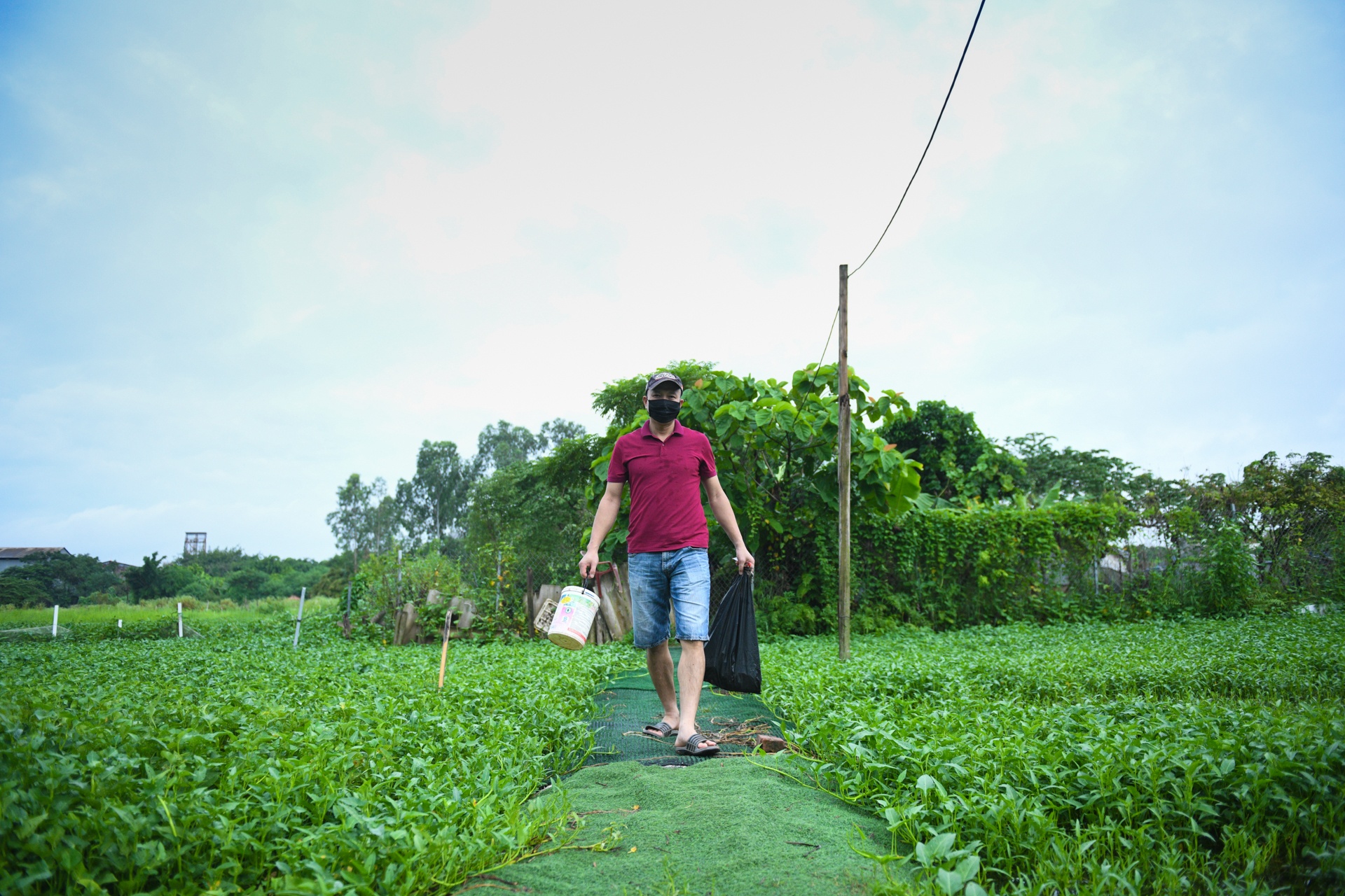 huong dan vien du lich,  anh huong dich covid-19 anh 2
