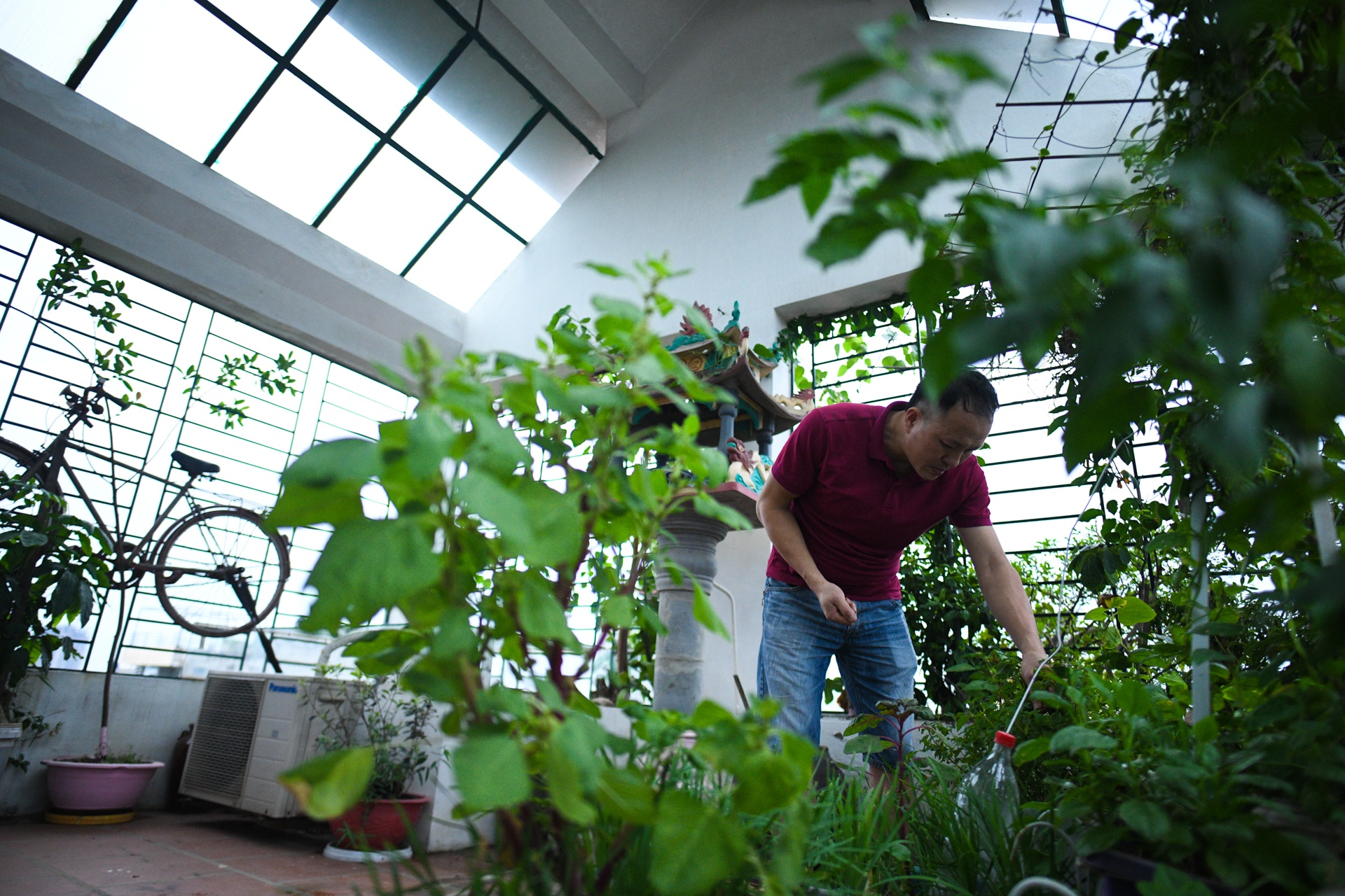 huong dan vien du lich,  anh huong dich covid-19 anh 8