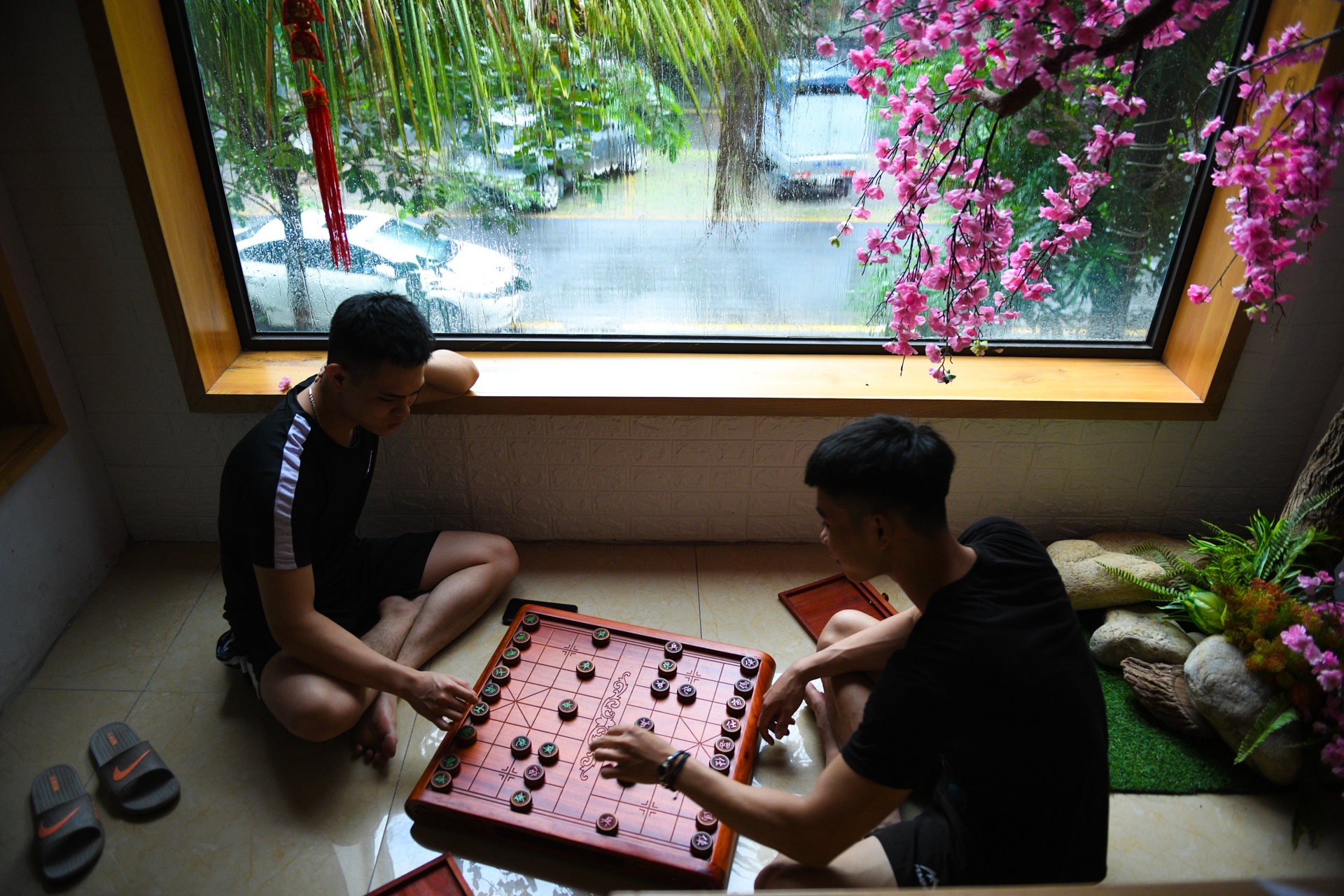 huong dan vien du lich,  anh huong dich covid-19 anh 38