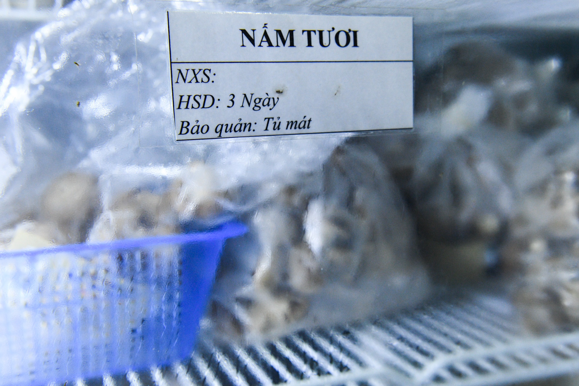 huong dan vien du lich,  anh huong dich covid-19 anh 31