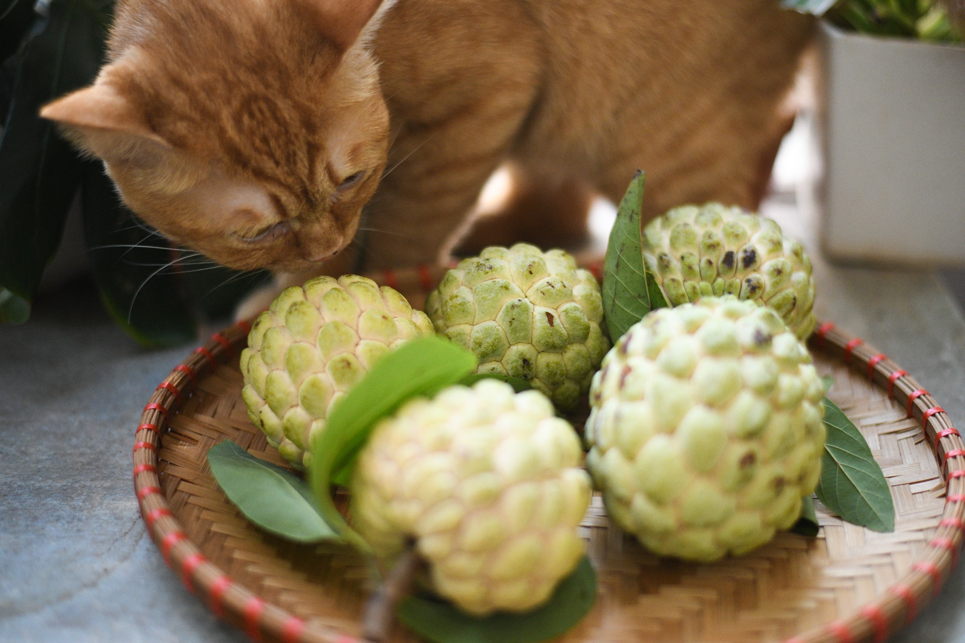 Hà Nội giãn cách theo chỉ thị 16, Hà Nội thay đổi lạ thường ảnh 2 Ha Noi gian cach theo chi thi 16, Ha Noi thay doi la thuong anh 2