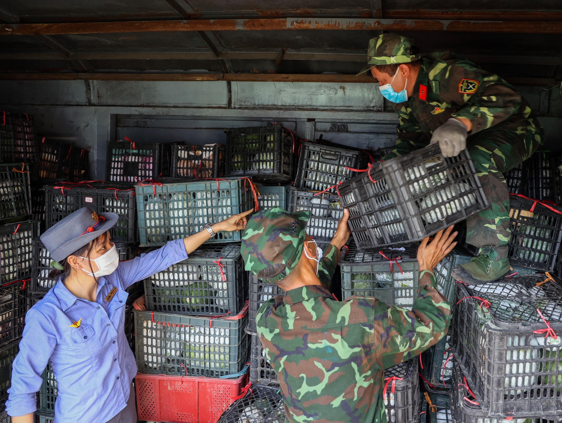 Tet Doc lap,  Ha Noi 2/9,  dai dich Covid-19 anh 39