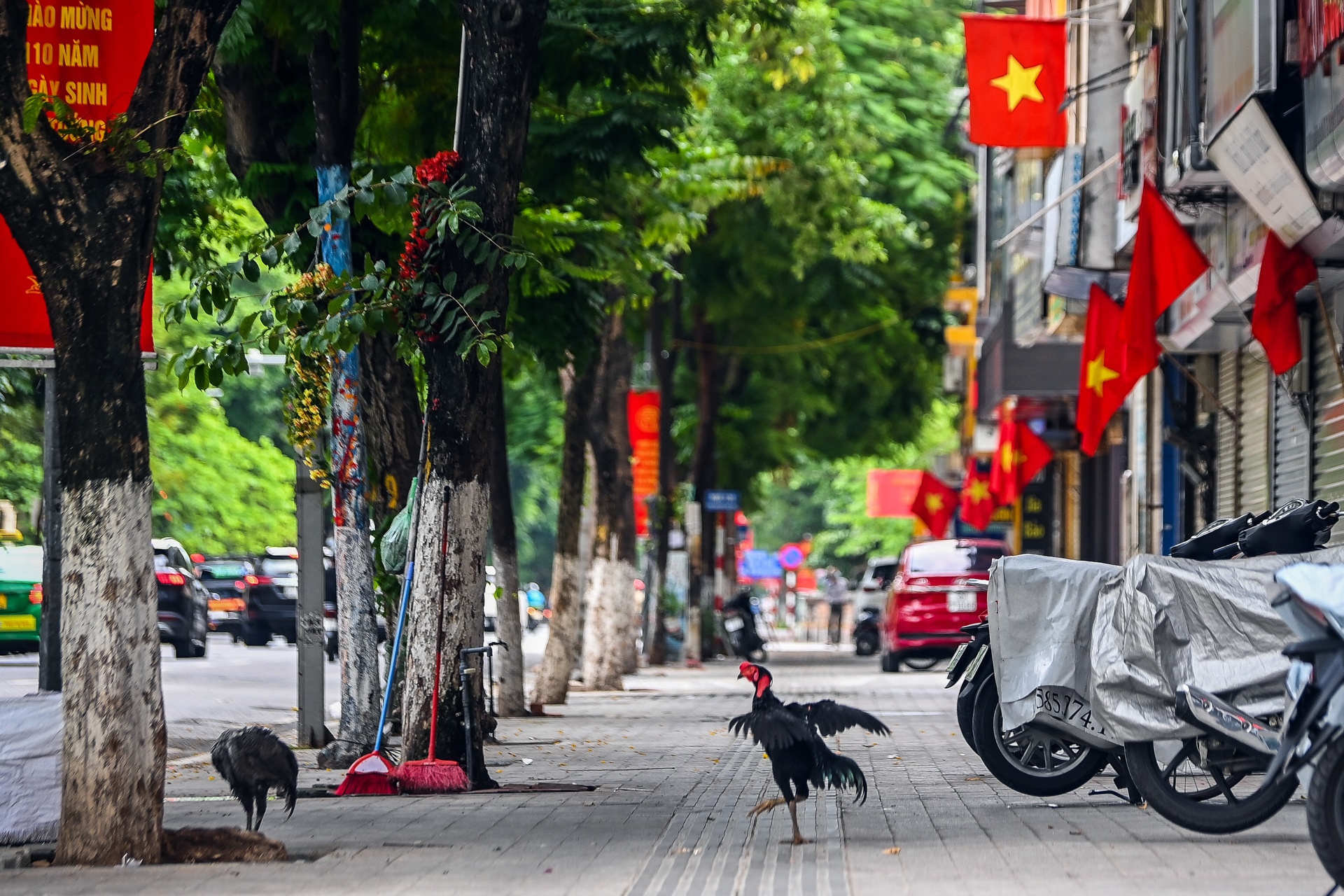Tet Doc lap,  Ha Noi 2/9,  dai dich Covid-19 anh 27