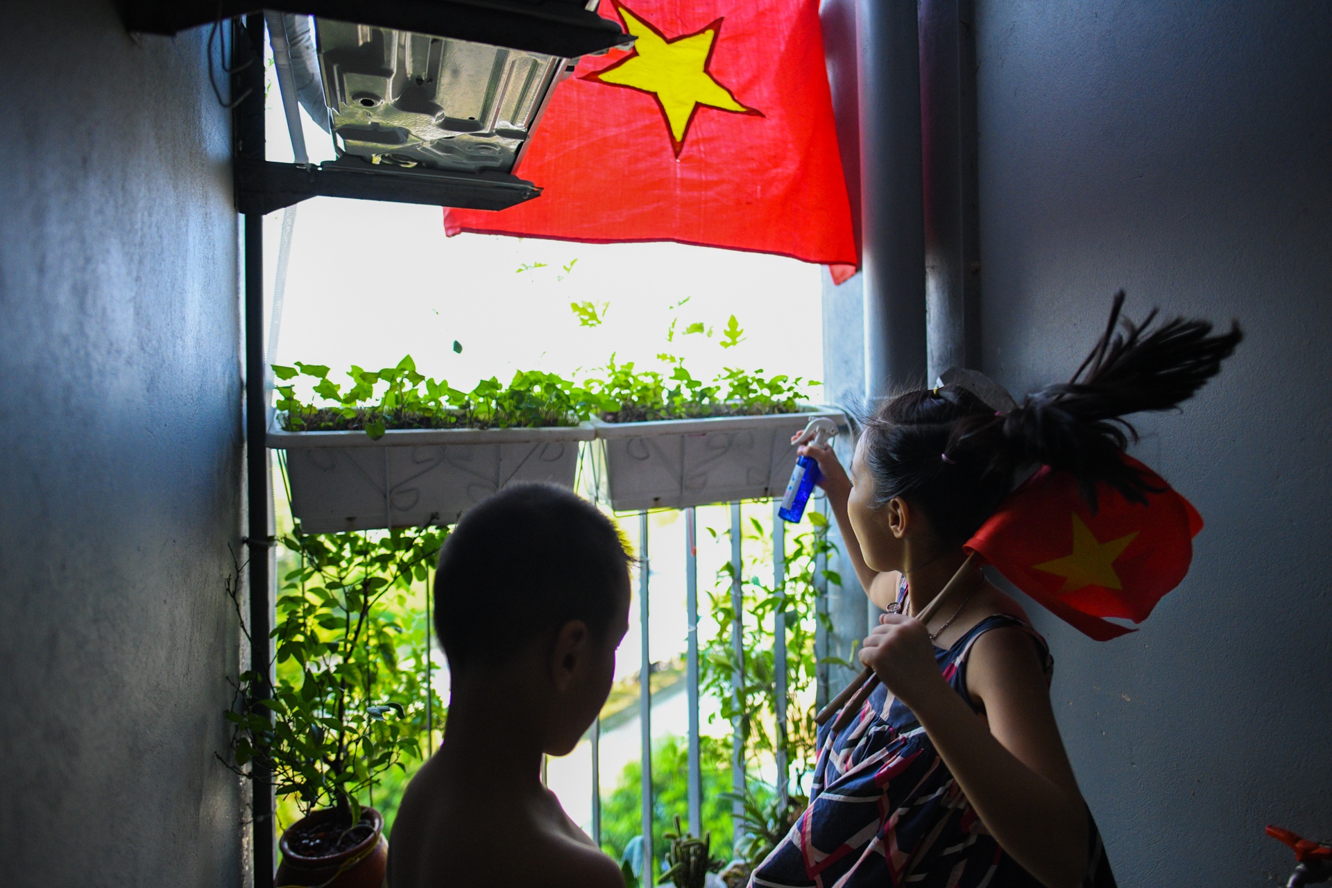 Tet Doc lap,  Ha Noi 2/9,  dai dich Covid-19 anh 6