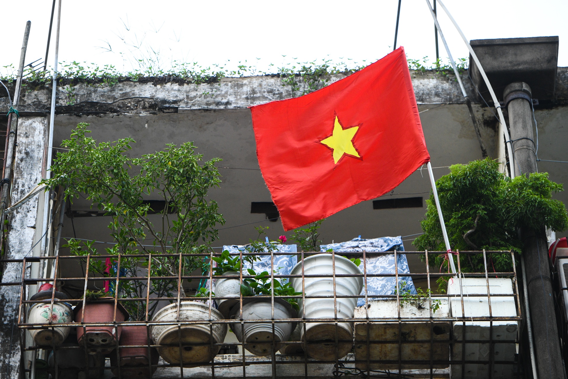 Tet Doc lap,  Ha Noi 2/9,  dai dich Covid-19 anh 23