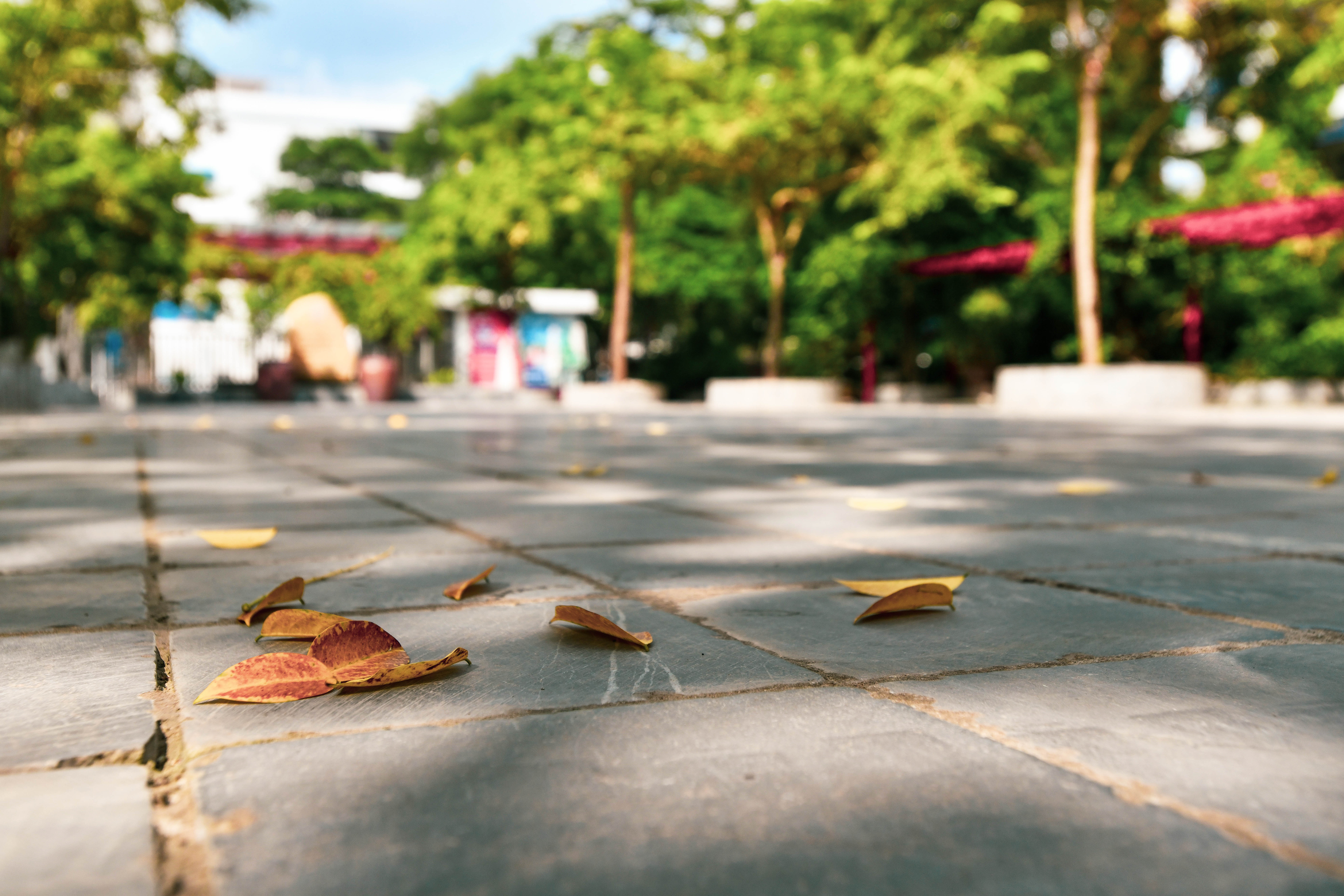 khai giang truc tuyen,  le khai giang 2021 anh 39