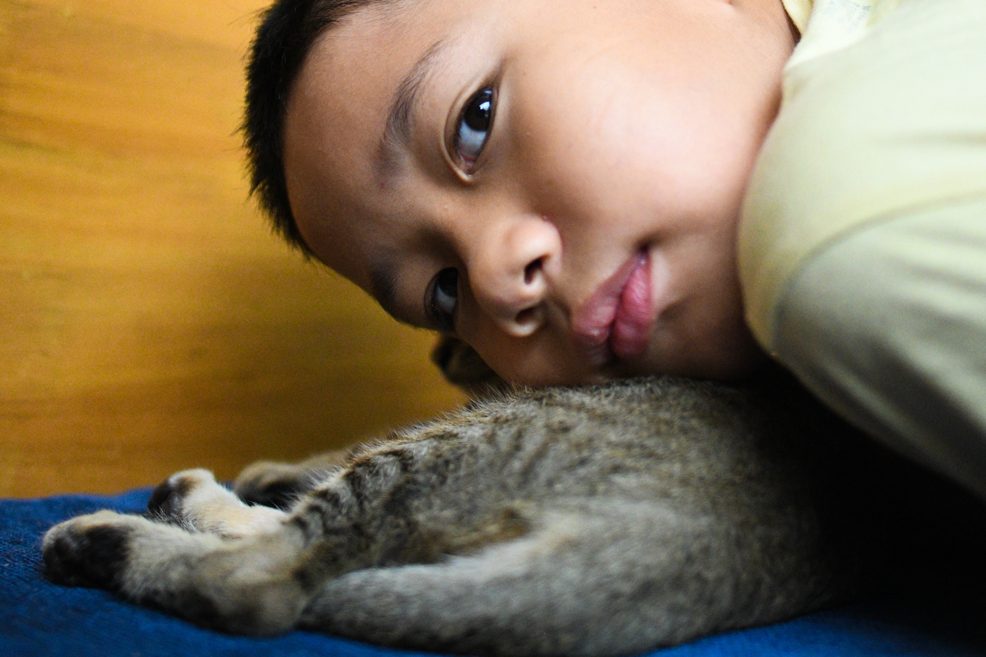 bo pho ve que,  tre em Ha Noi anh 3