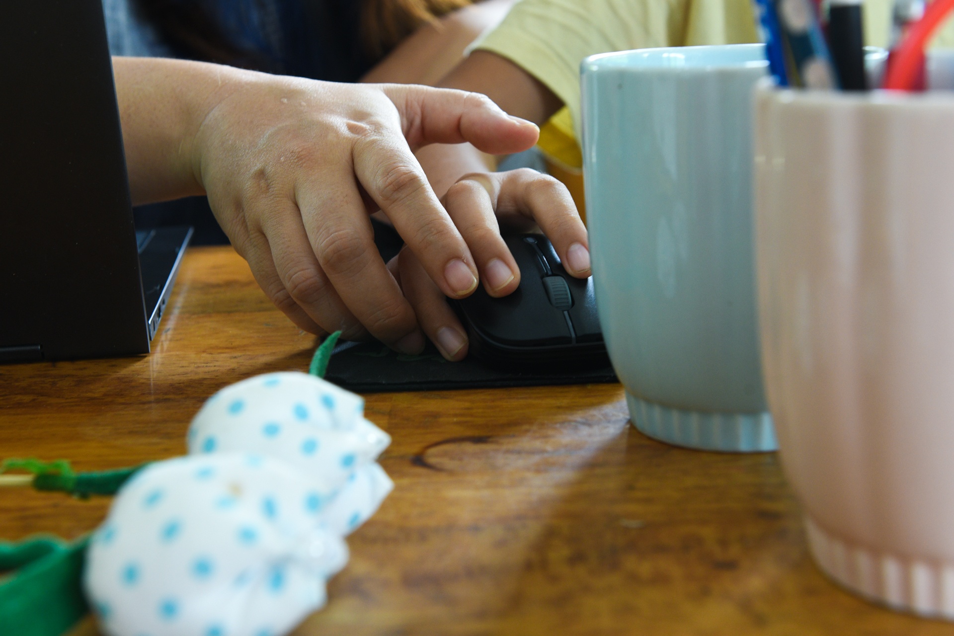 bo pho ve que,  tre em Ha Noi anh 51