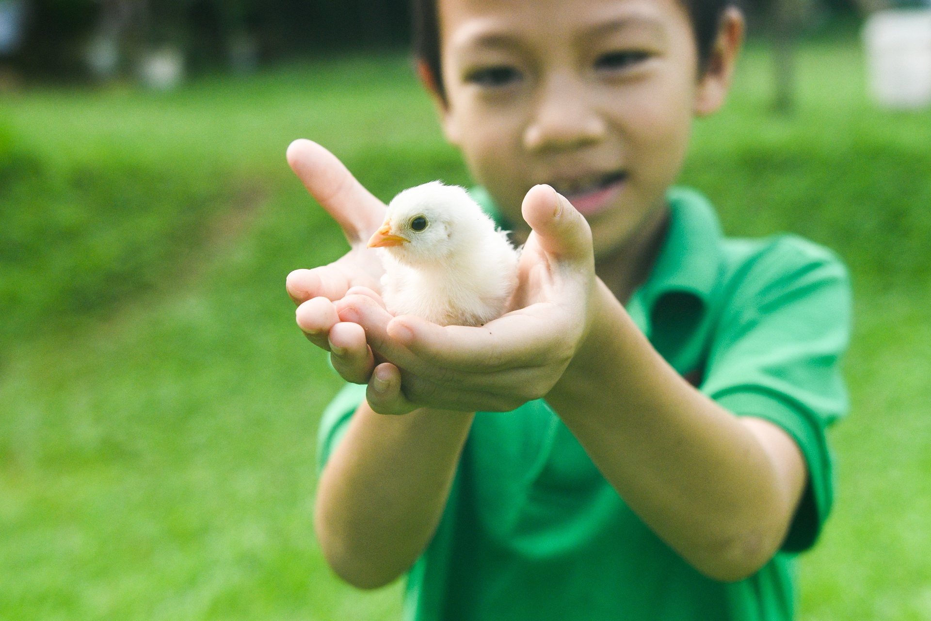 bo pho ve que,  tre em Ha Noi anh 11