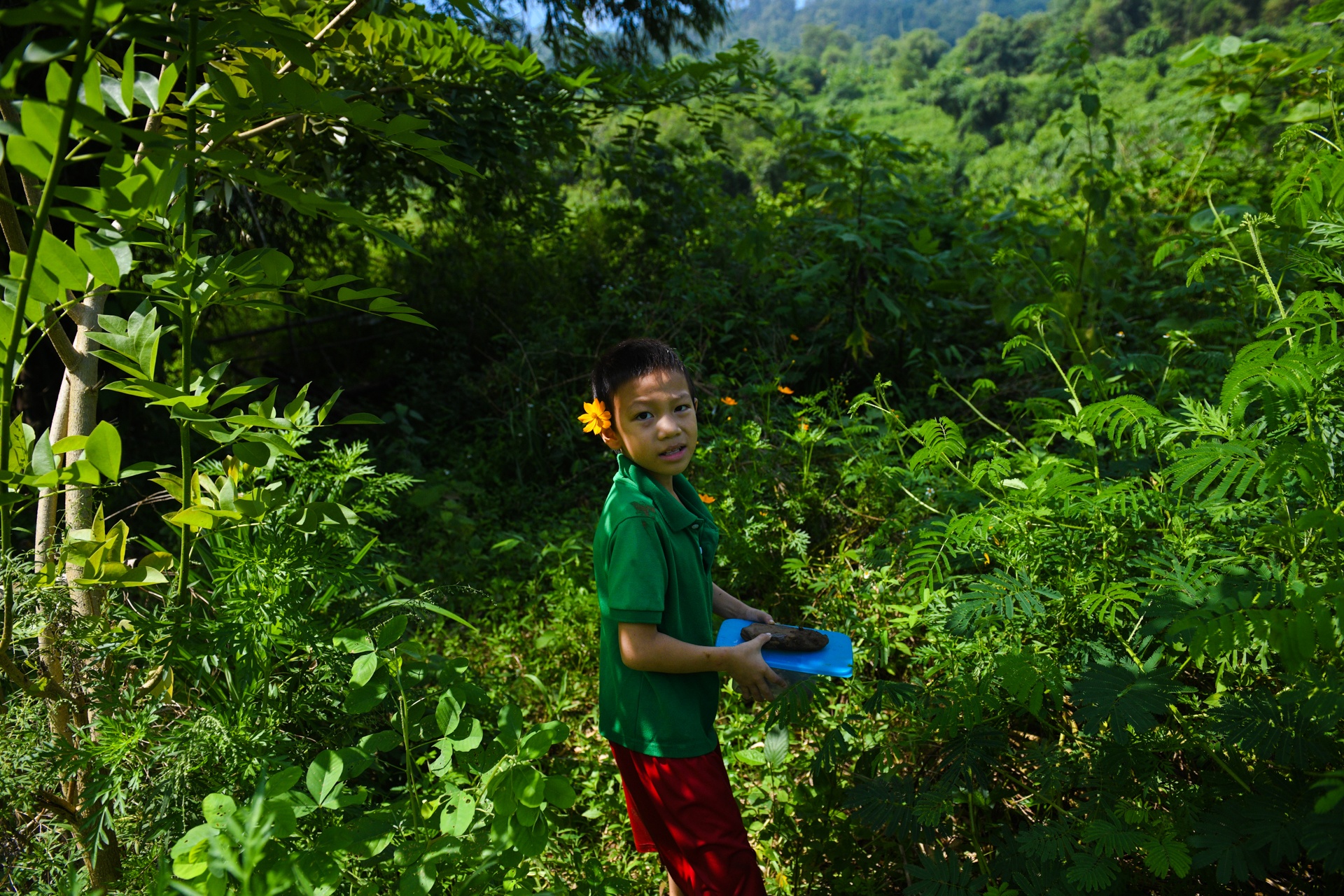 bo pho ve que,  tre em Ha Noi anh 21