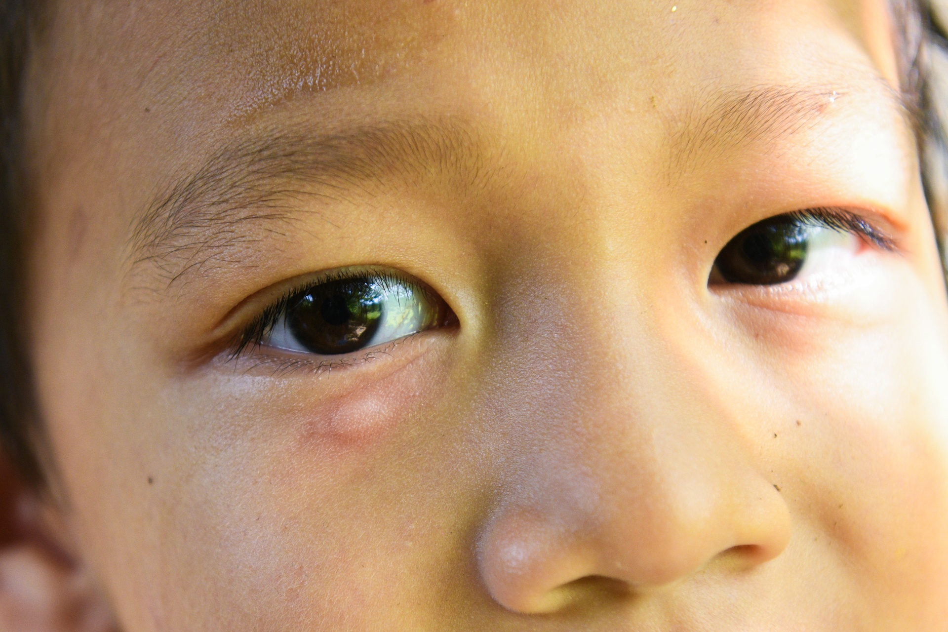 bo pho ve que,  tre em Ha Noi anh 20