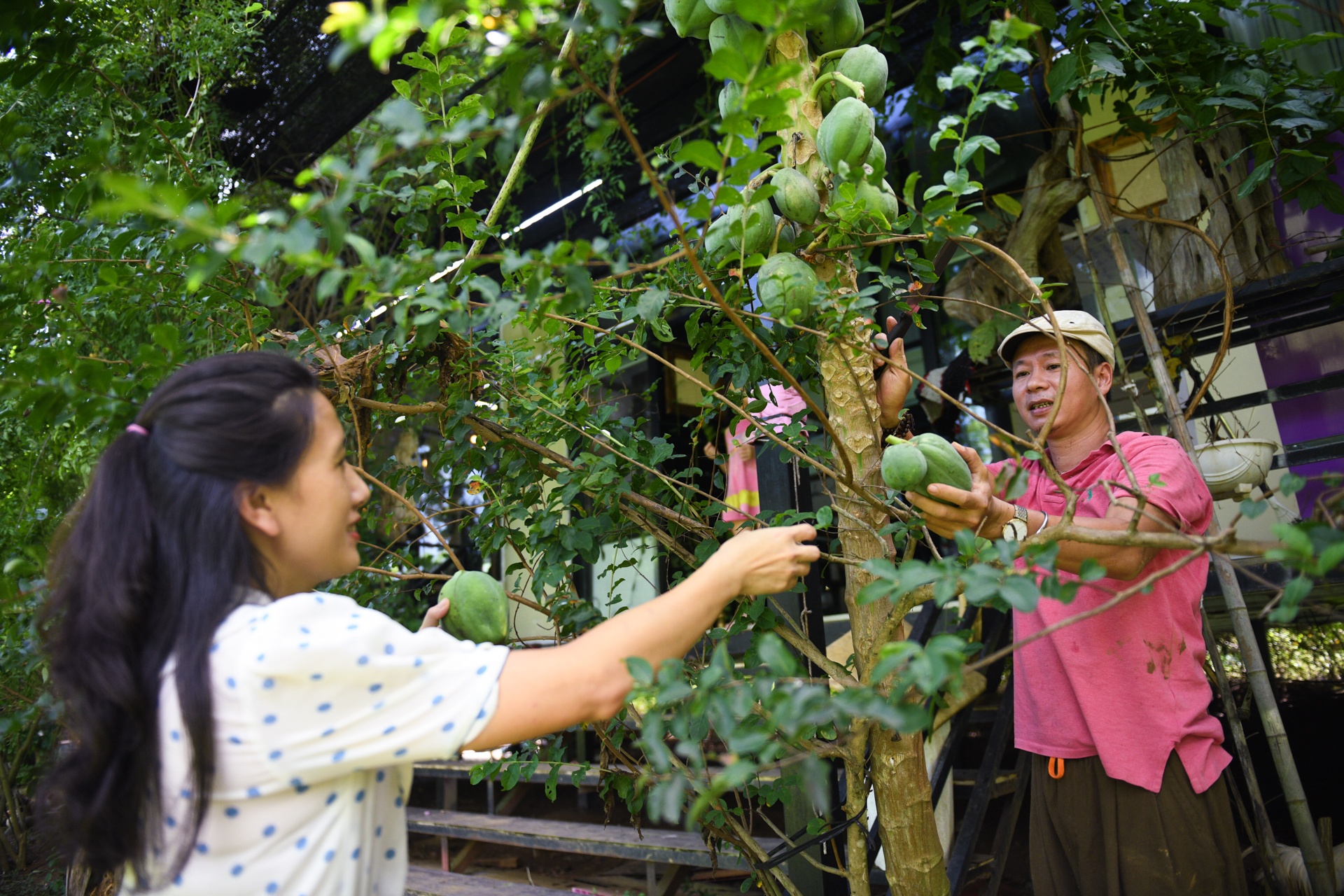 bo pho ve que,  tre em Ha Noi anh 25