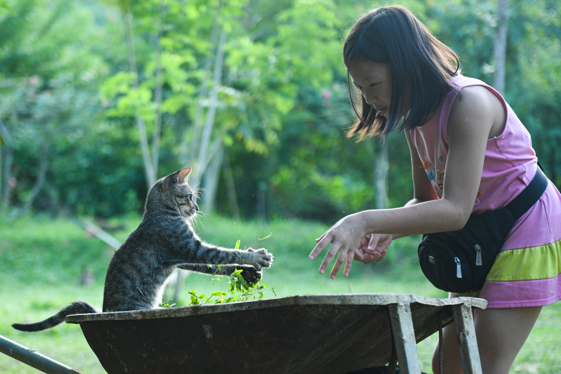 bo pho ve que,  tre em Ha Noi anh 10