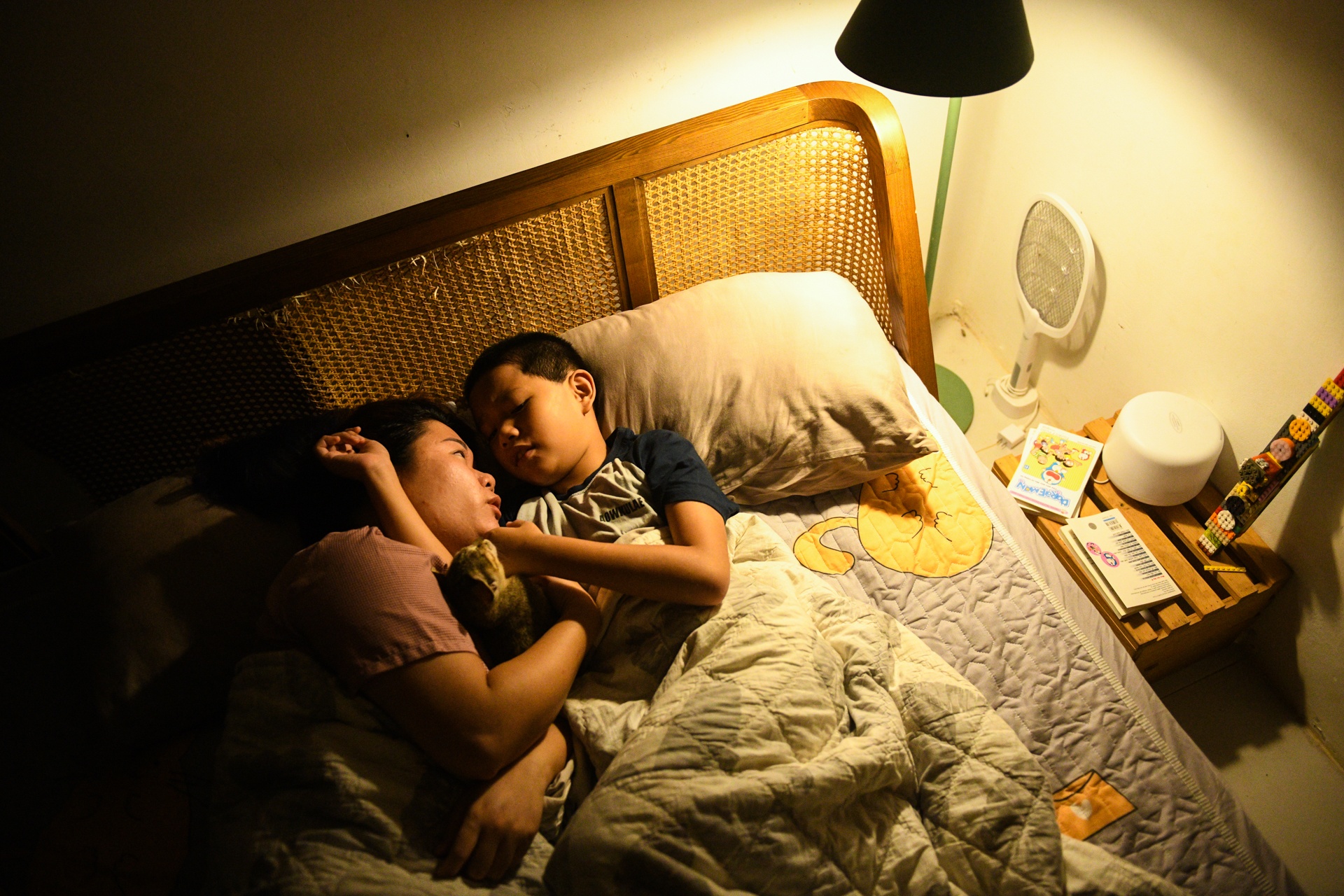 bo pho ve que,  tre em Ha Noi anh 64